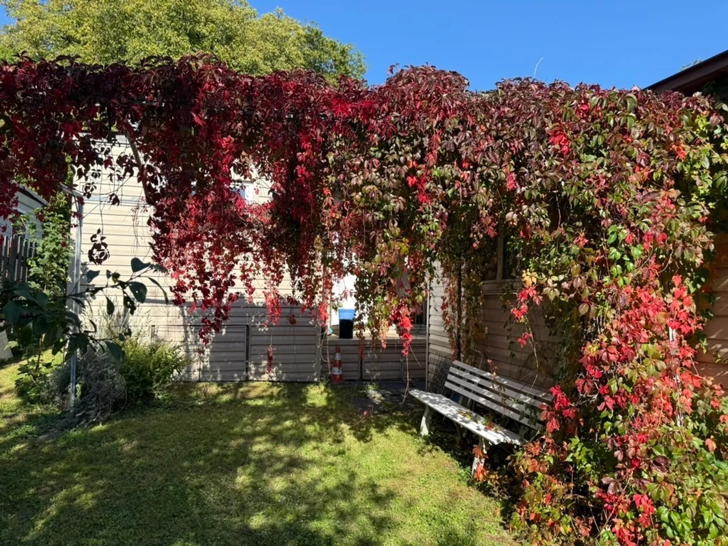 Joli camping près de La Neuveville! - Photo 5 sur 12