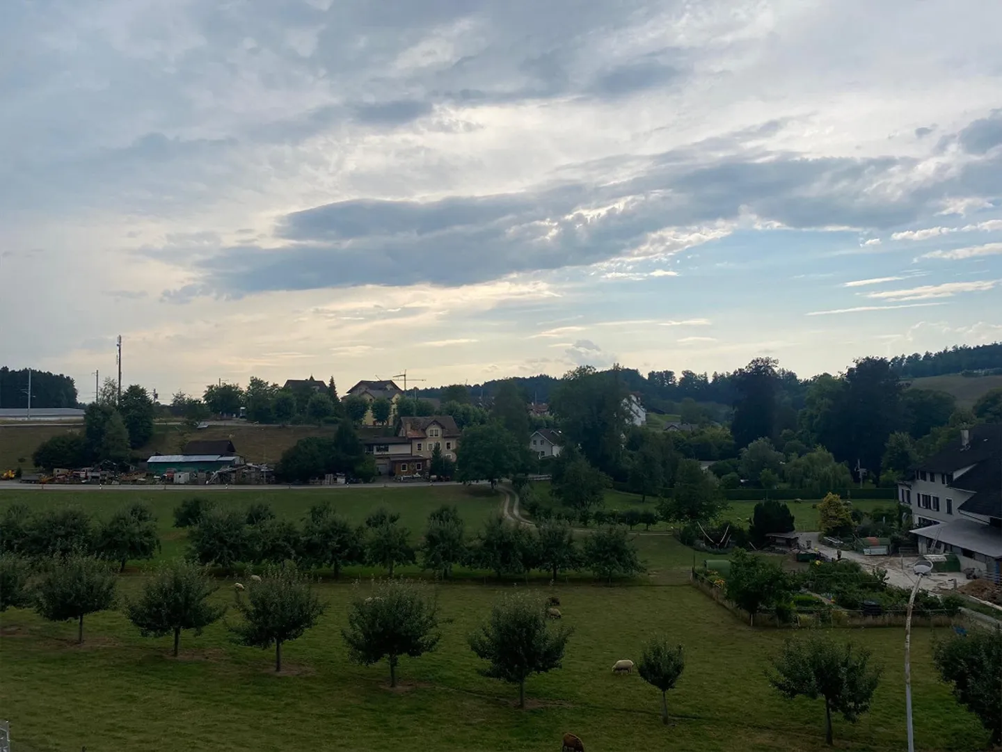 Appartamento soleggiato con 4 stanze in campagna - Foto 10 di 12