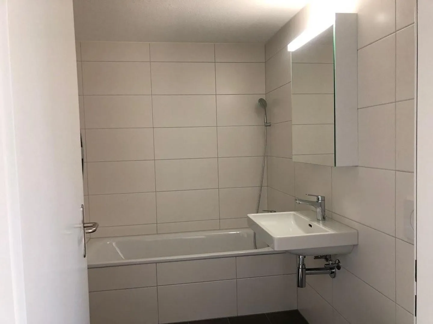 Living by the Rhine Falls - Photo 2 of 10