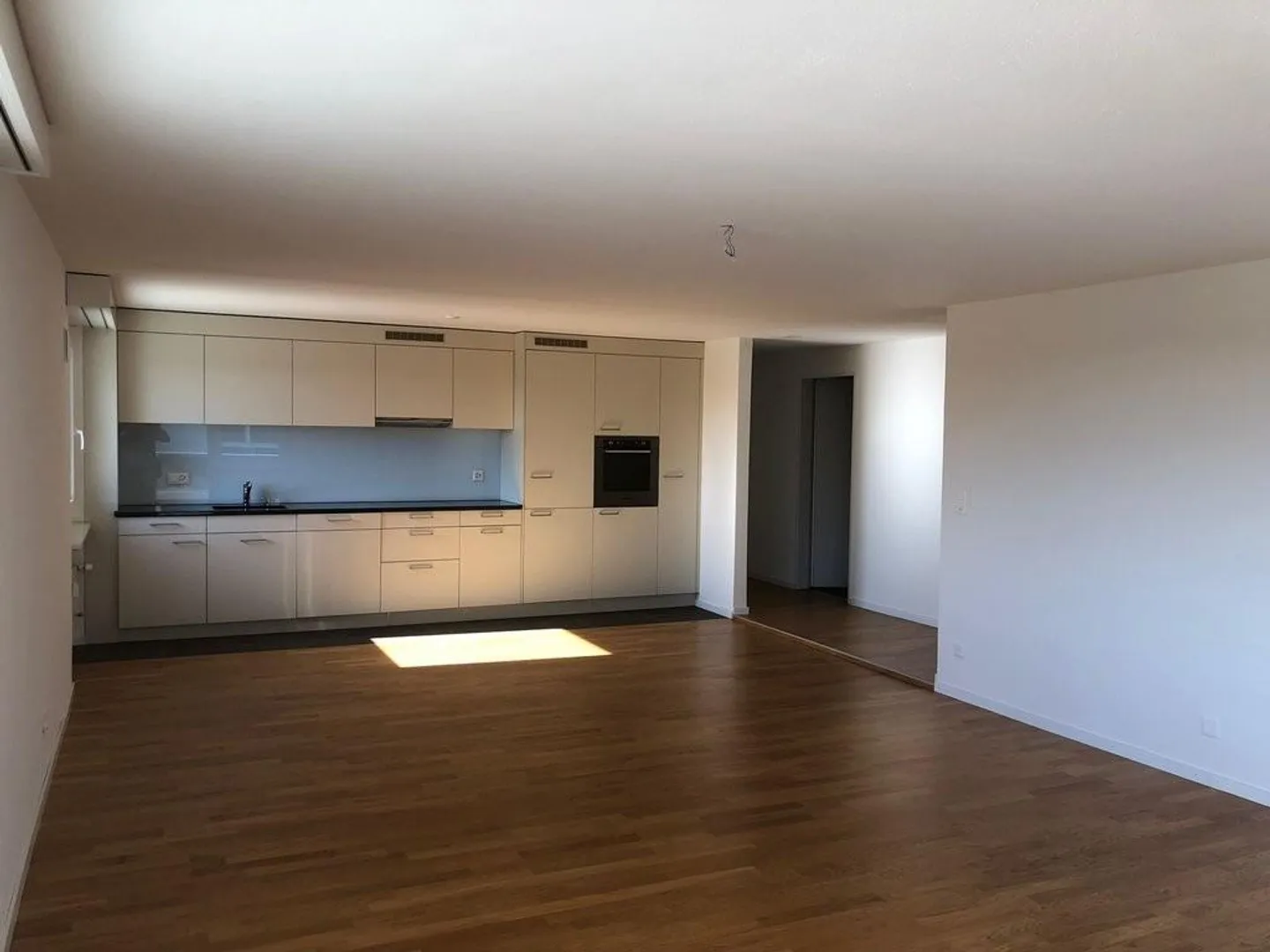 Living by the Rhine Falls - Photo 5 of 10