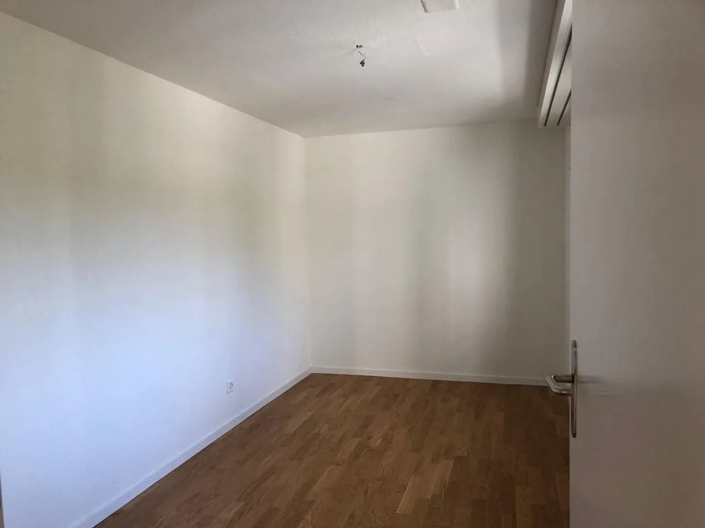 Living by the Rhine Falls - Photo 9 of 10