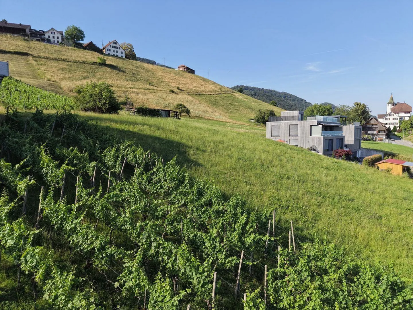 Terreno edificabile sul versante sud con vista sulla valle del Reno - Foto 4 di 10