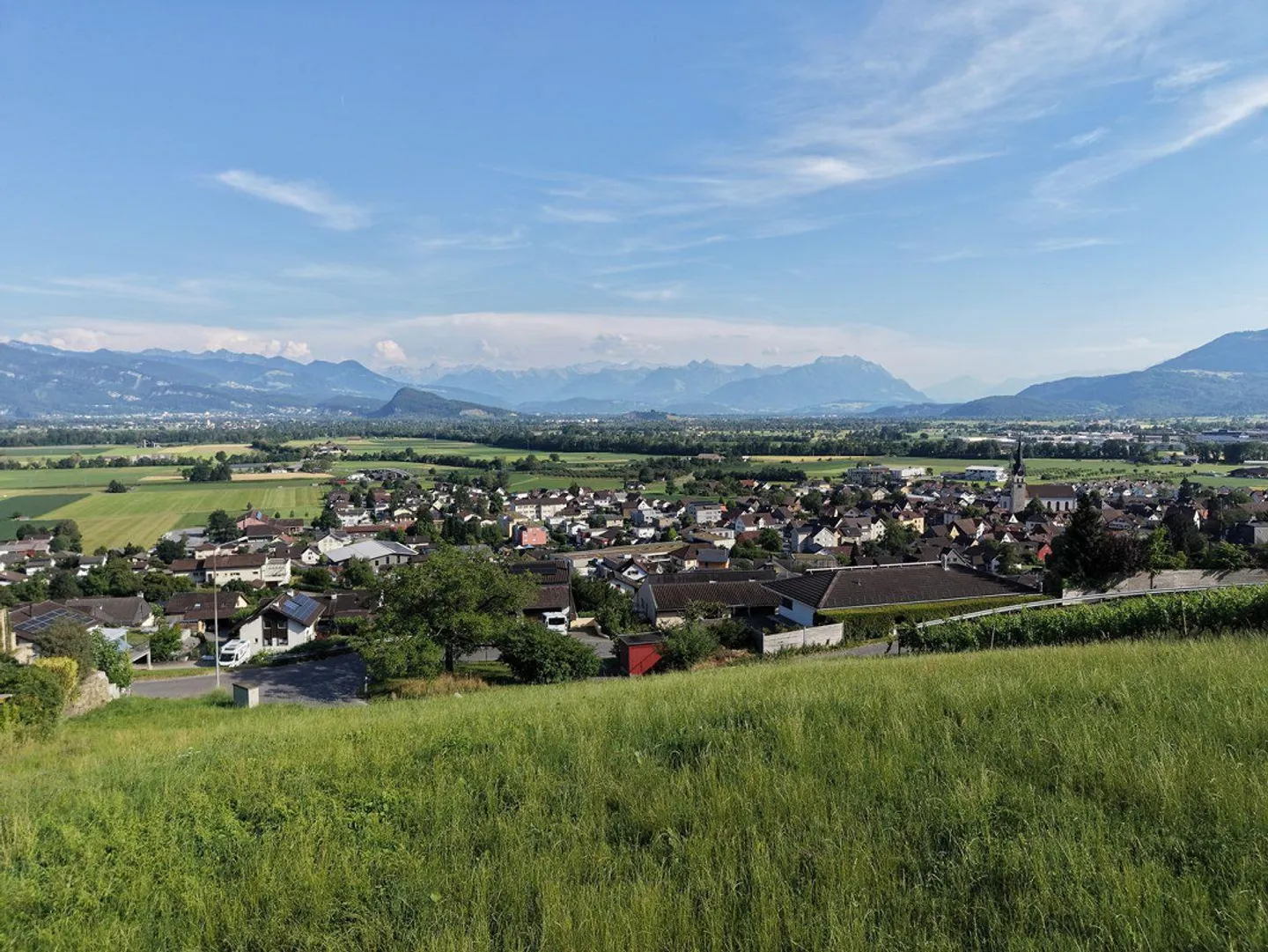 Terreno edificabile sul versante sud con vista sulla valle del Reno - Foto 5 di 10