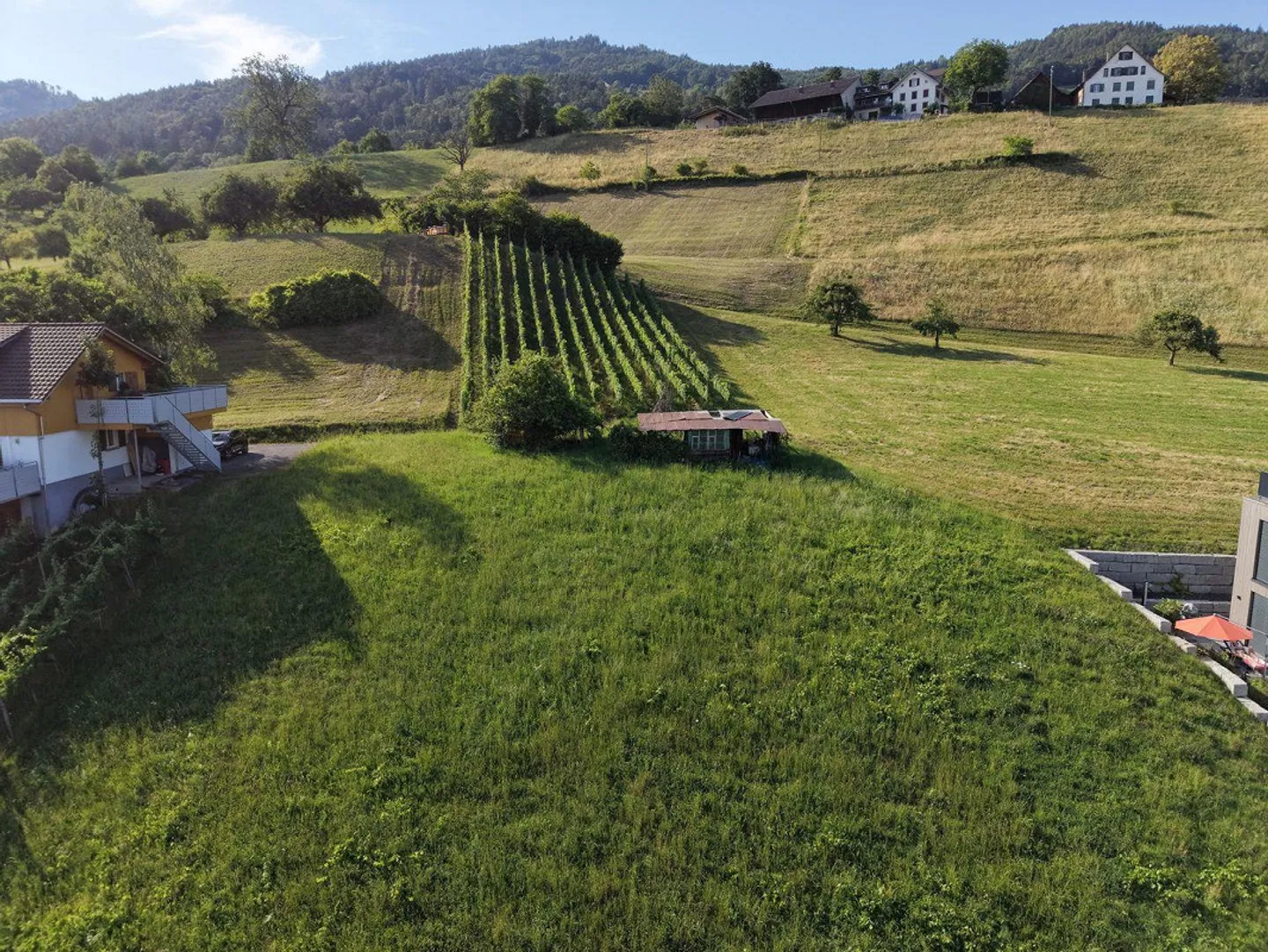 Terreno edificabile sul versante sud con vista sulla valle del Reno - Foto 6 di 10