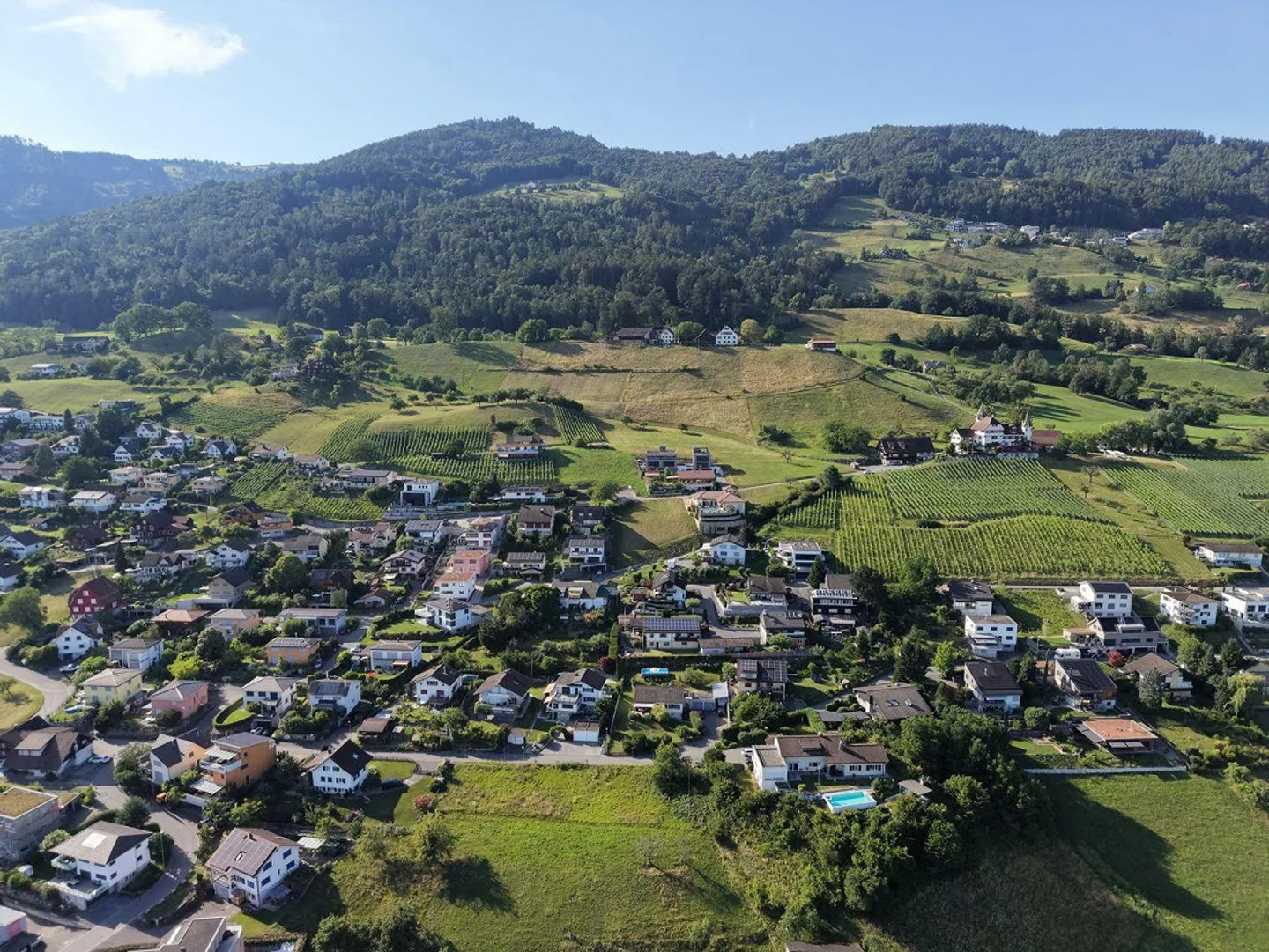 Terreno edificabile sul versante sud con vista sulla valle del Reno - Foto 8 di 10