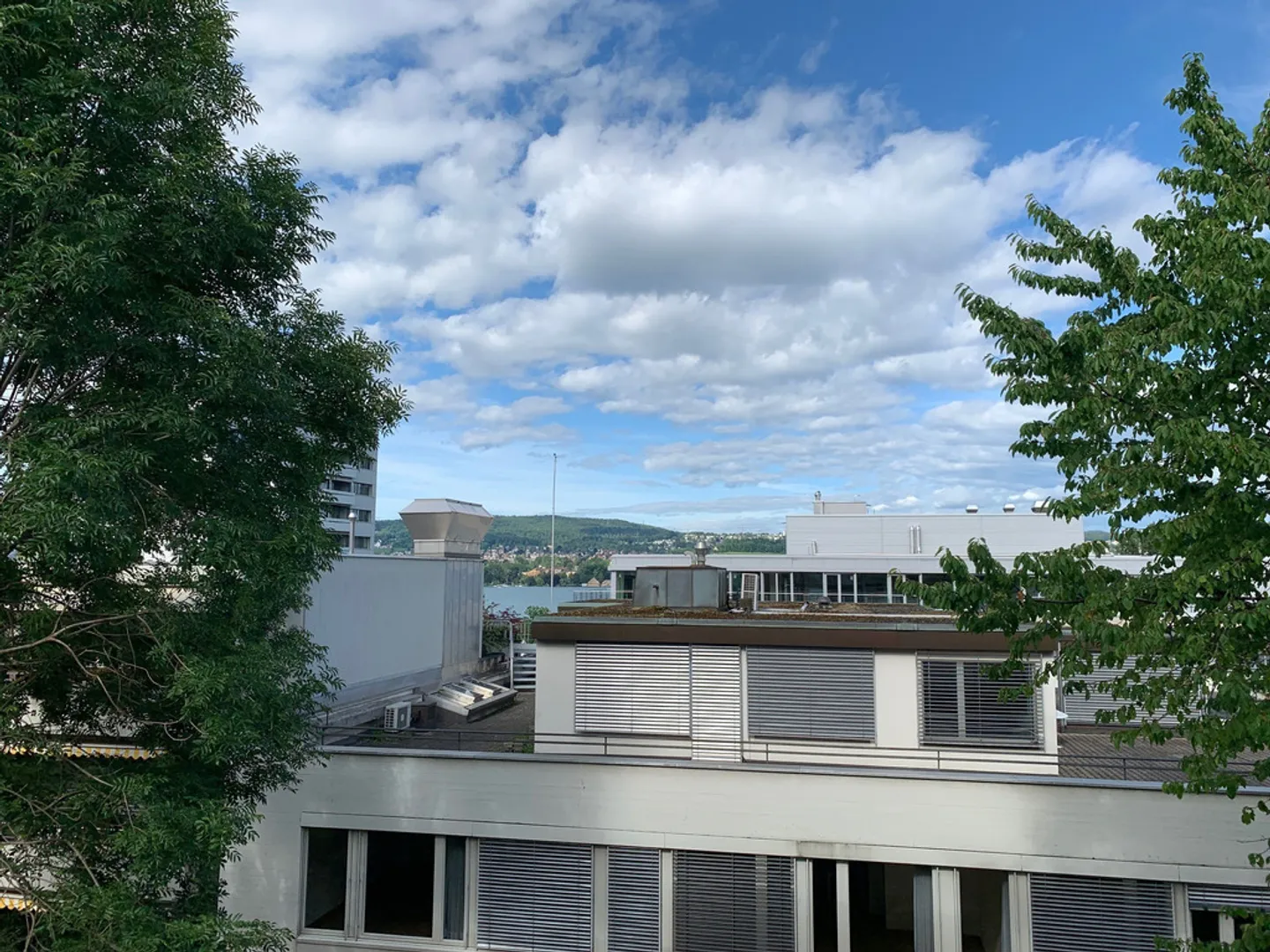 Appartement lumineux de 4,5 pièces dans le quartier prisé de Zurich-Wollishofen - Photo 2 sur 10