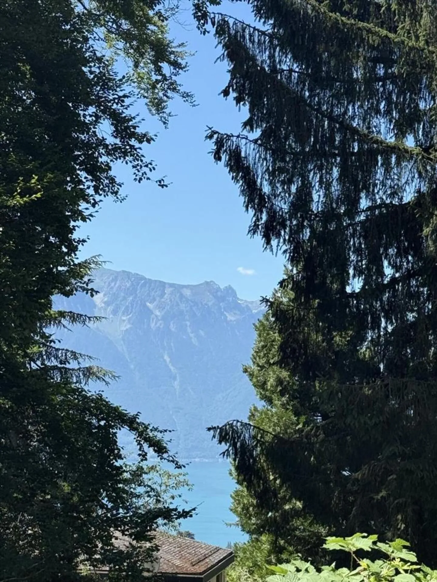 Villa 5.5 Rooms in Blonay - Photo 3 of 13