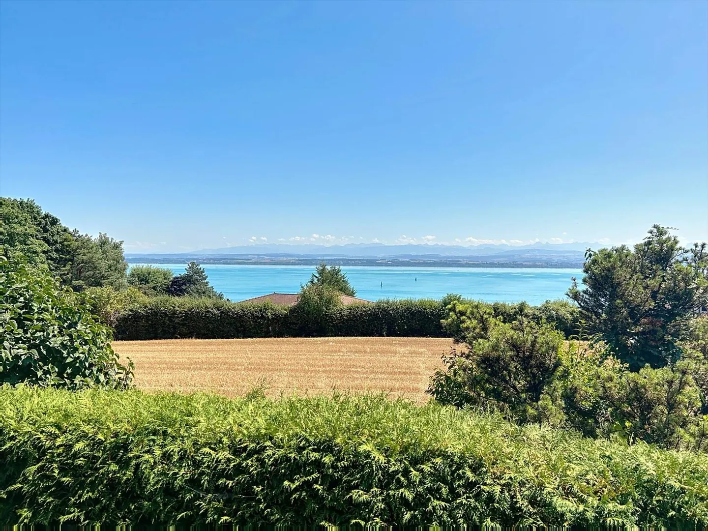 Chalet 2,5 Zimmer - Foto 3 von 6