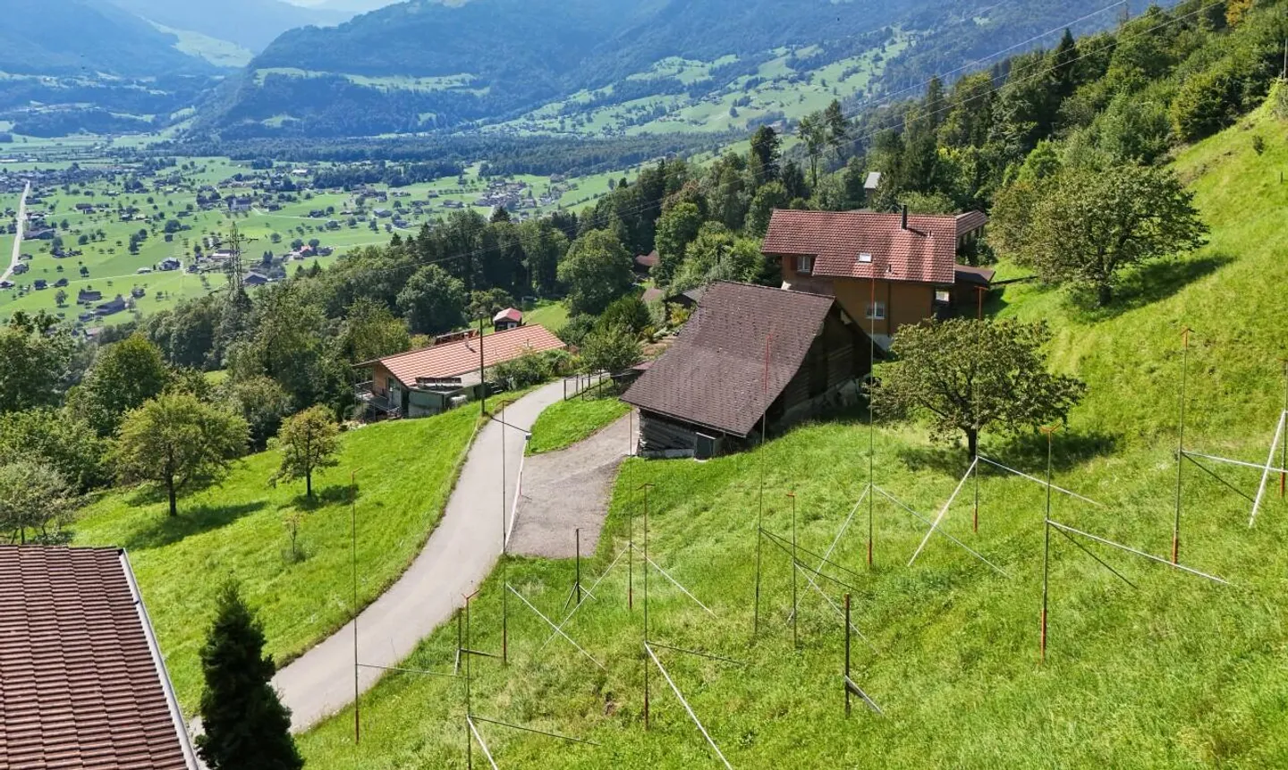 Vivre dans le vert avec panorama sur les montagnes - Photo 10 sur 11