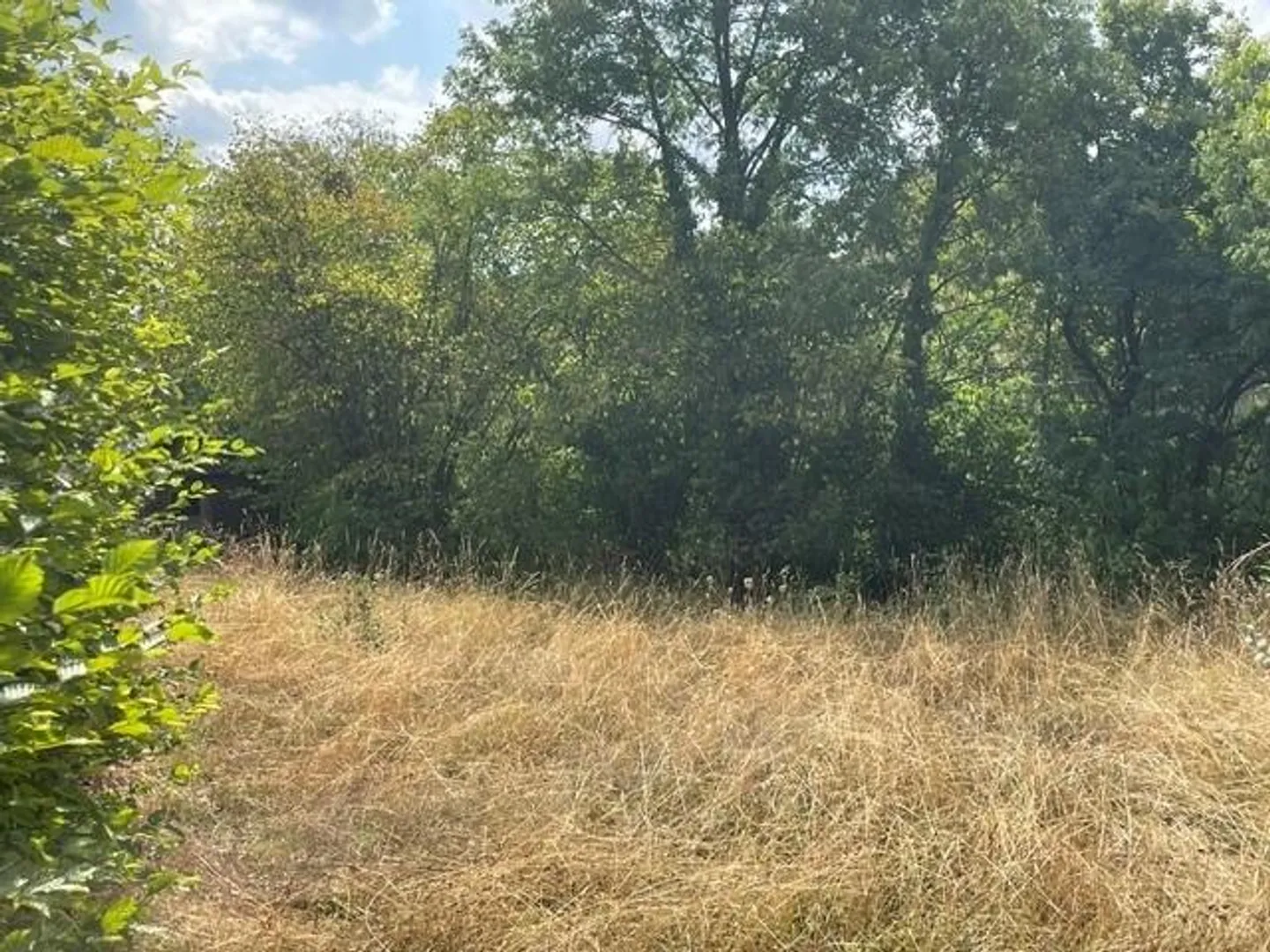 Terreno edificabile sviluppato con grande potenziale di sviluppo - Foto 3 di 5
