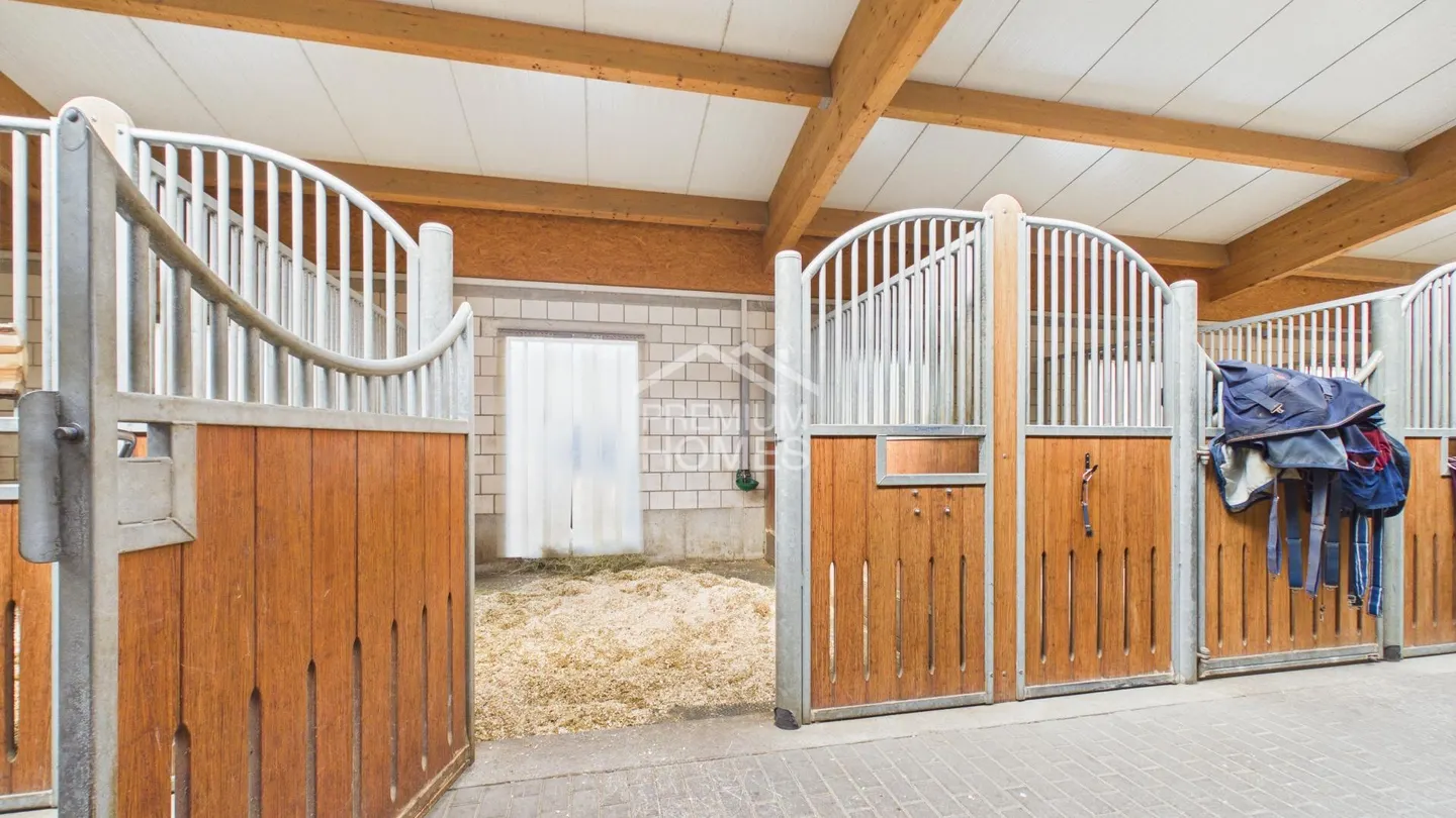 Professional Equestrian Facility with 24 Stalls, Riding Arena, and Residential House! - Photo 5 of 13