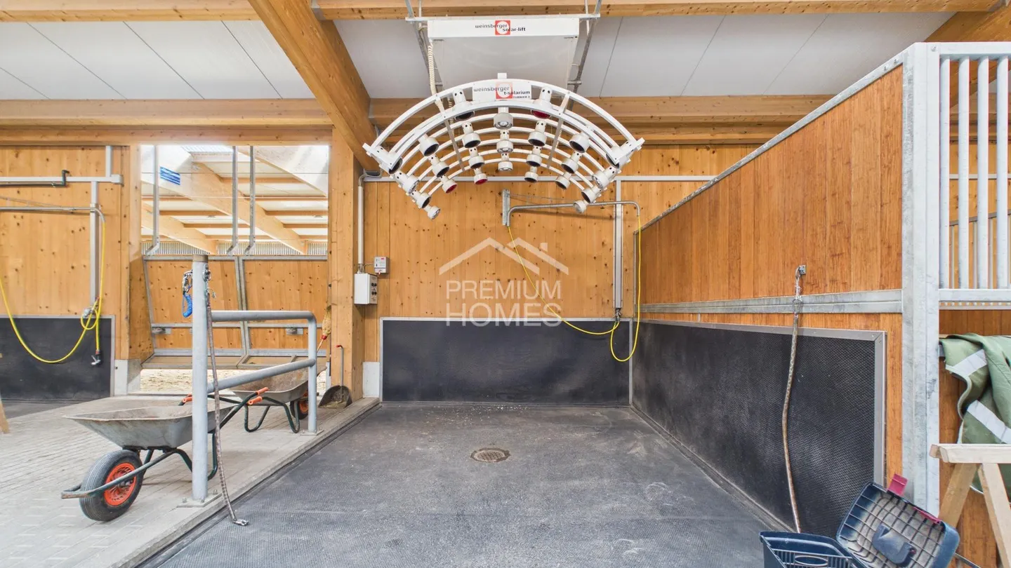 Professional Equestrian Facility with 24 Stalls, Riding Arena, and Residential House! - Photo 7 of 13