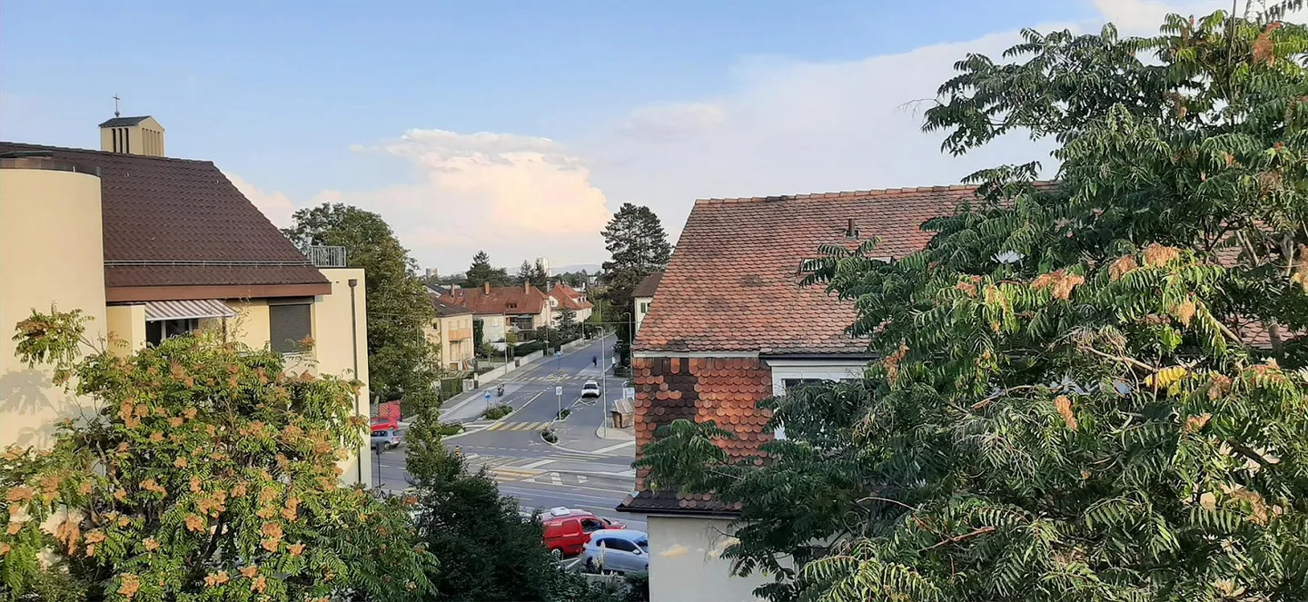 Large 3.5-room attic apartment in Allschwil - Photo 11 of 11