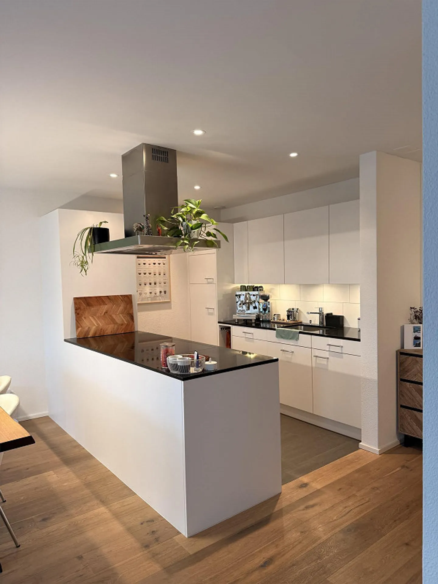 2.5 Room Apartment - Photo 2 of 18