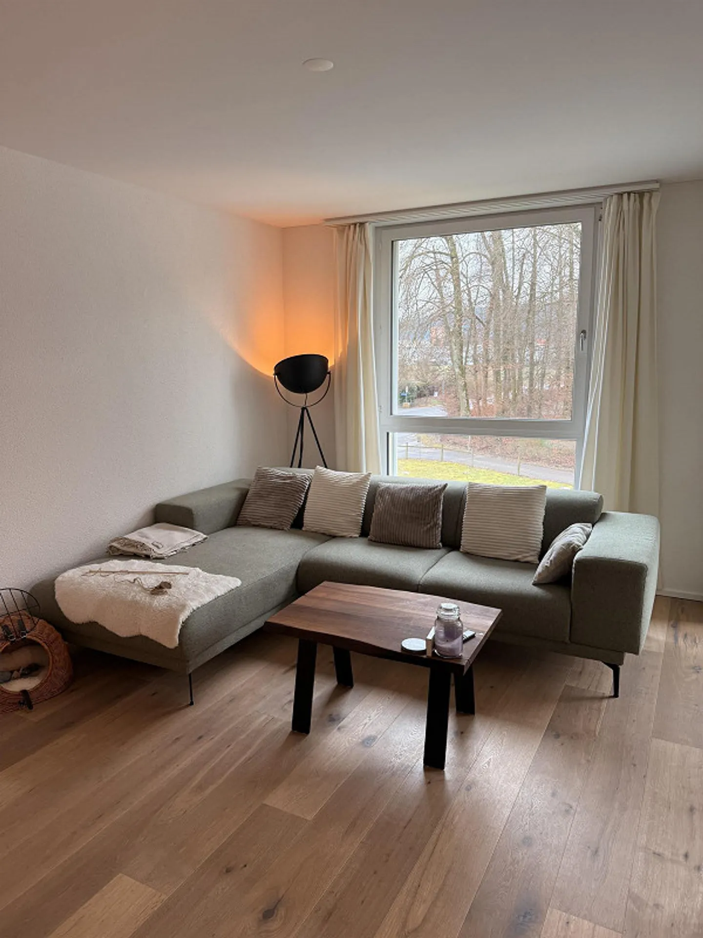 2.5 Room Apartment - Photo 9 of 18