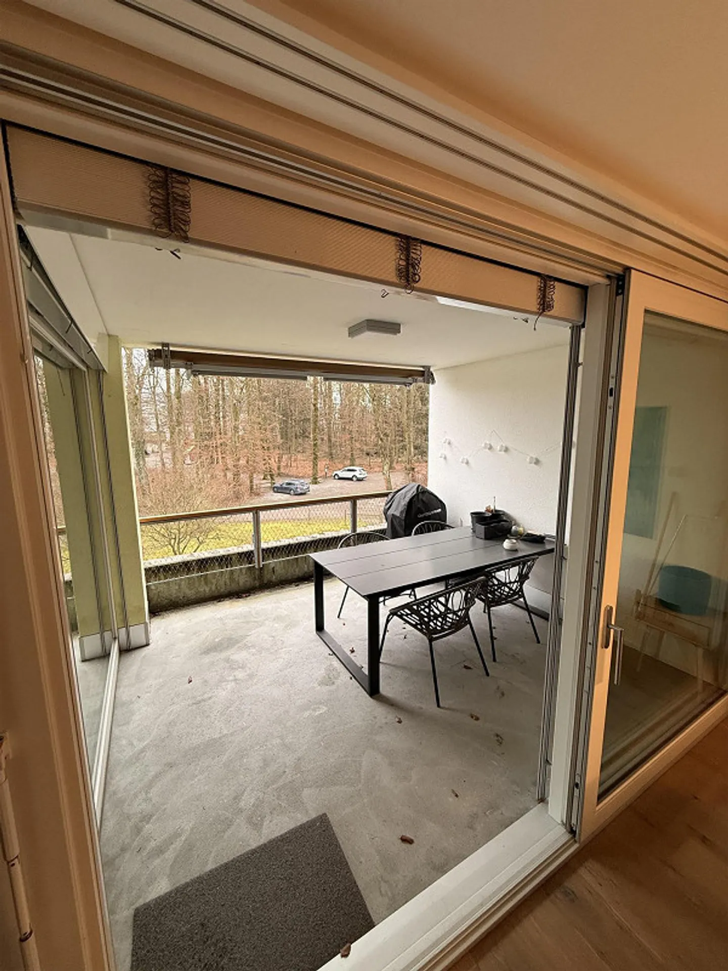 2.5 Room Apartment - Photo 11 of 18