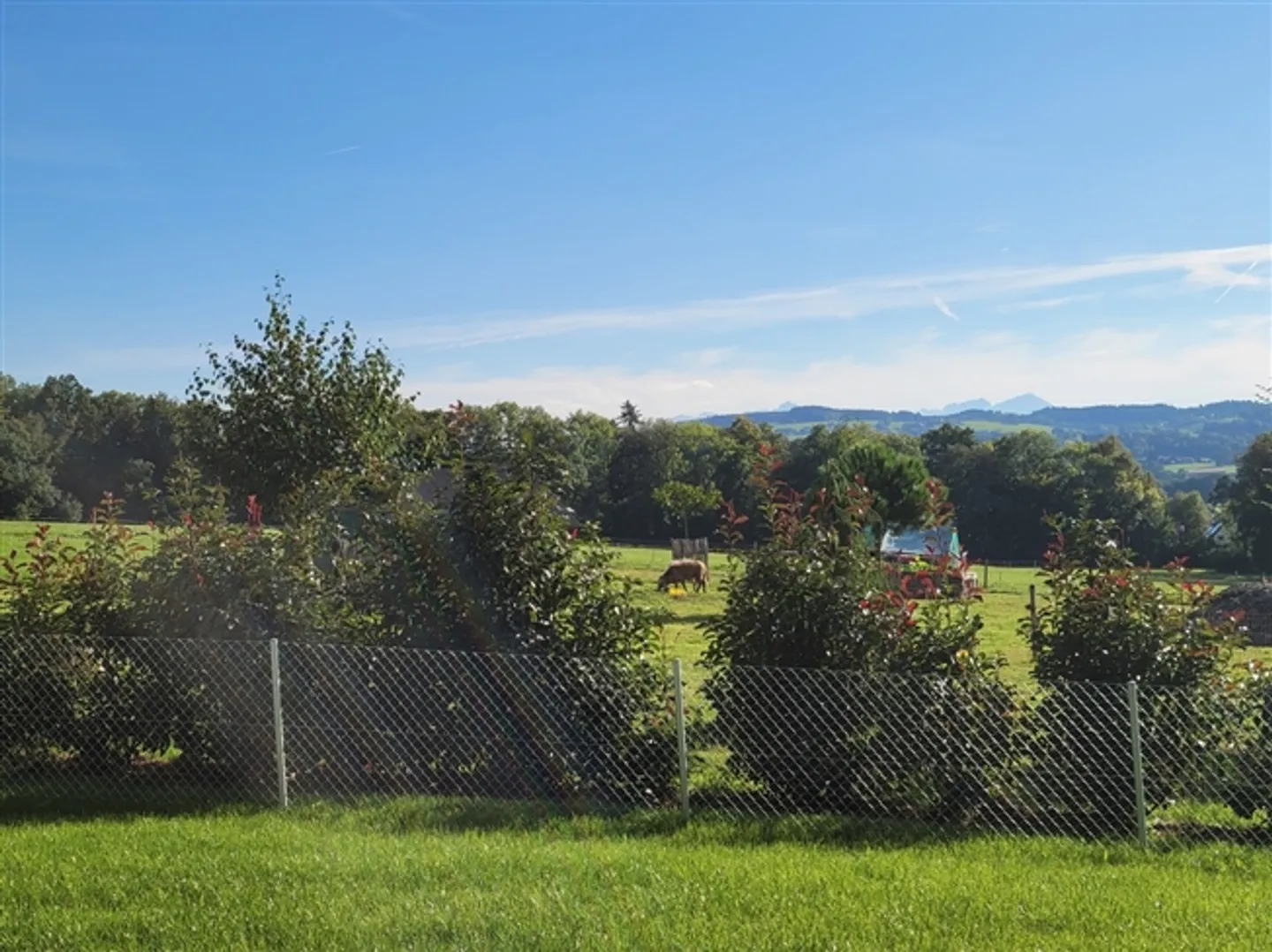 5.5 Rooms for Rent - Idyllic Location on the Heights of Mézières (FR) - Photo 11 of 13