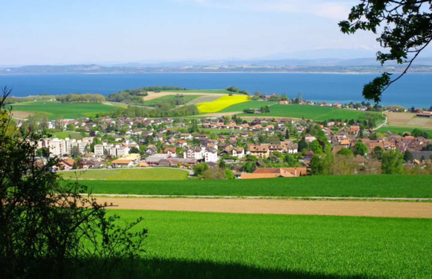 Maison individuelle avec architecture moderne - 4,5 pièces avec jardin et terrasse - Photo 3 sur 4
