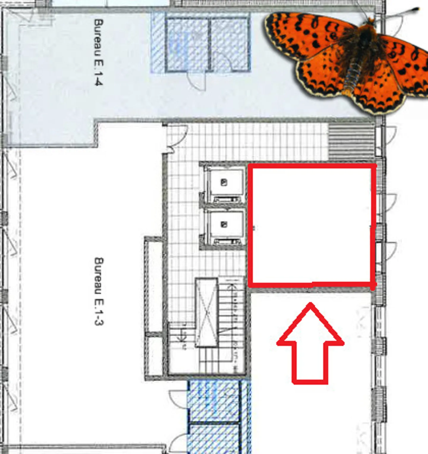 ROHE GLASFLÄCHE VON 25M² - Vor dem Bahnhof Romont! - Foto 5 von 6