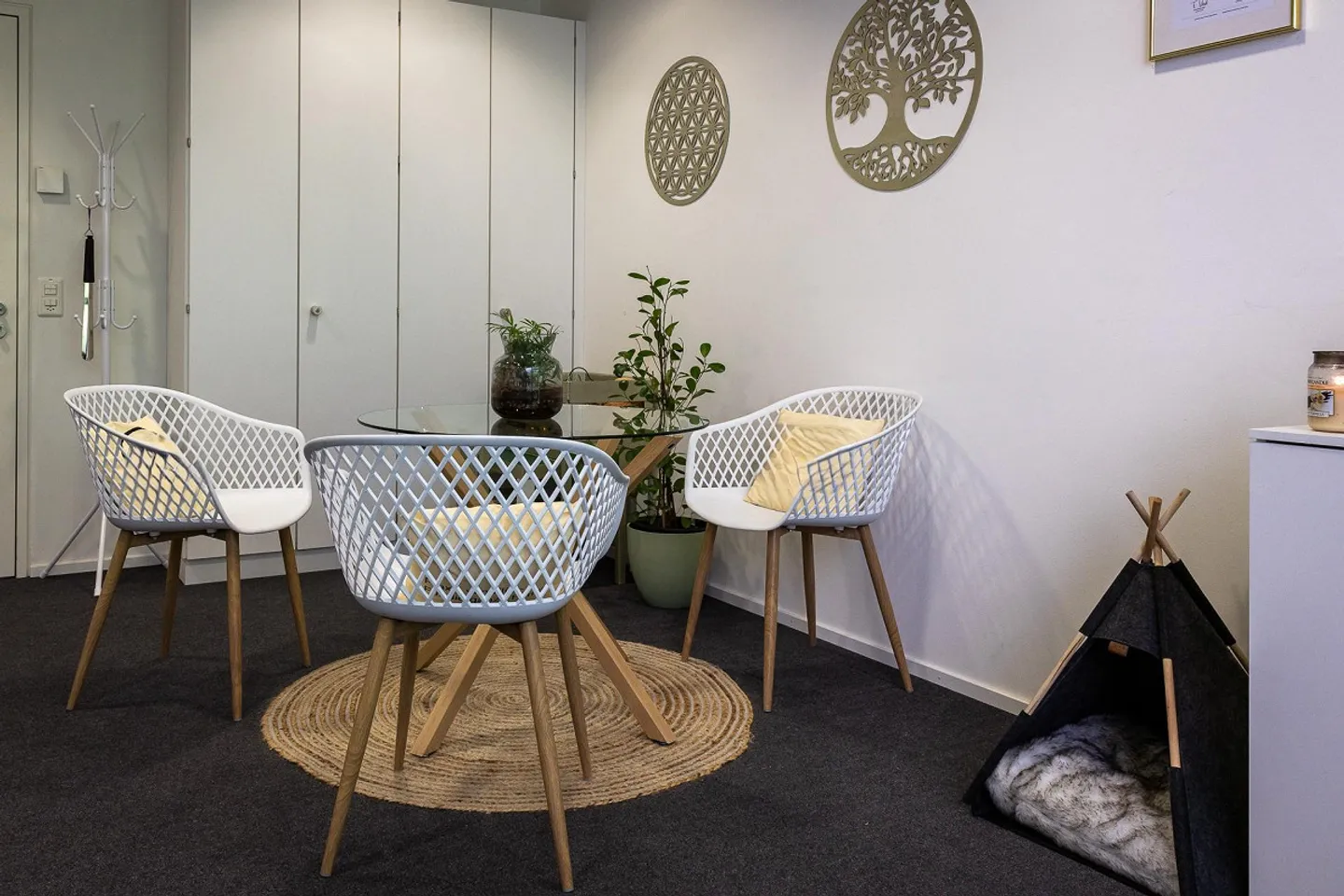 Bright and Quiet Room in Cham 26m2 - Photo 1 of 6