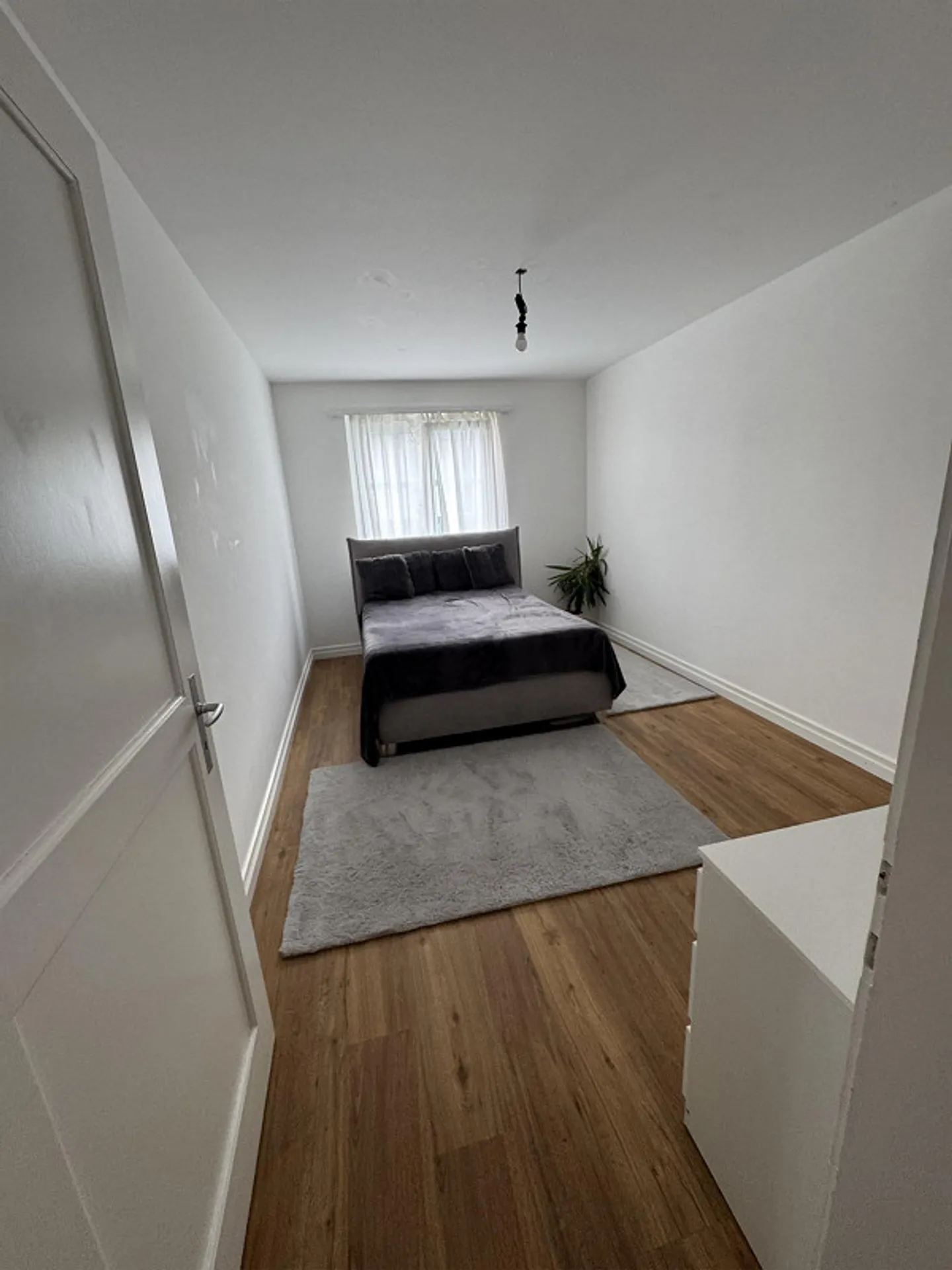 Recherche de locataire : appartement 5 pièces avec 2 balcons dans un emplacement privilégié à Frauenfeld - Photo 7 sur 12