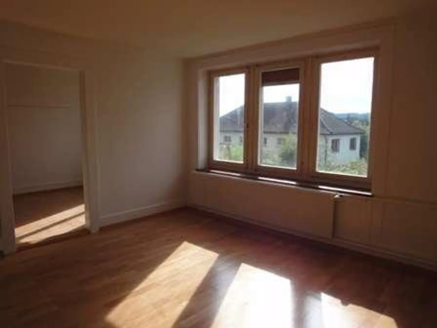 Charmante Wohnung in Schaffhausen - Foto 3 von 8