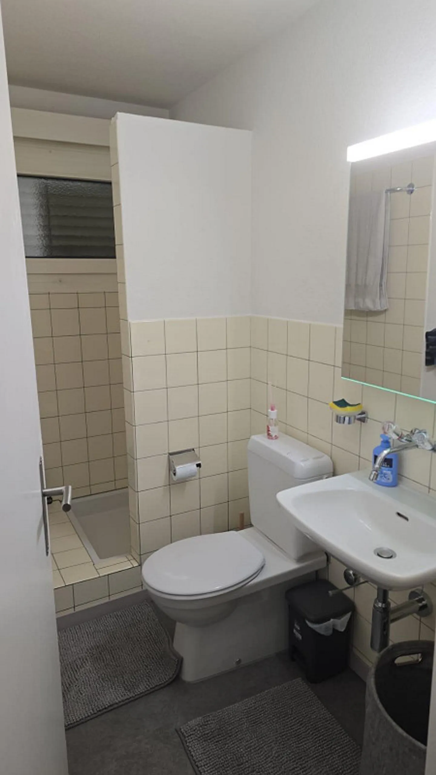 Looking for a tenant to take over an apartment in Sarnen - Photo 1 of 5