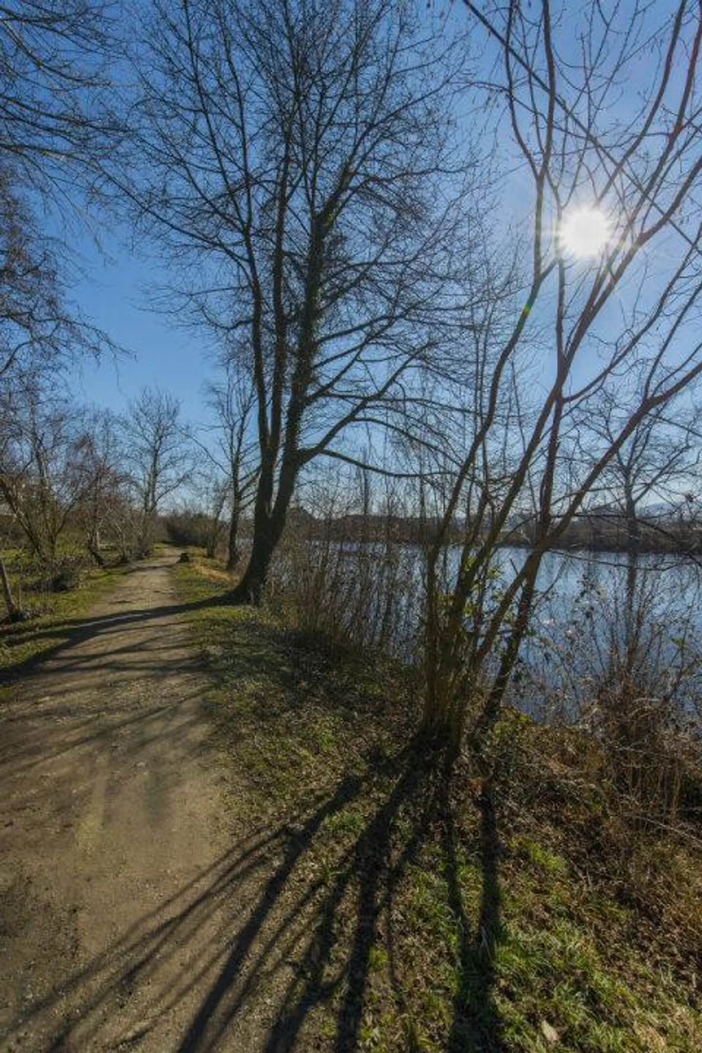 Vicino alla Limmat - proprietà adatta alle famiglie - Foto 3 di 9