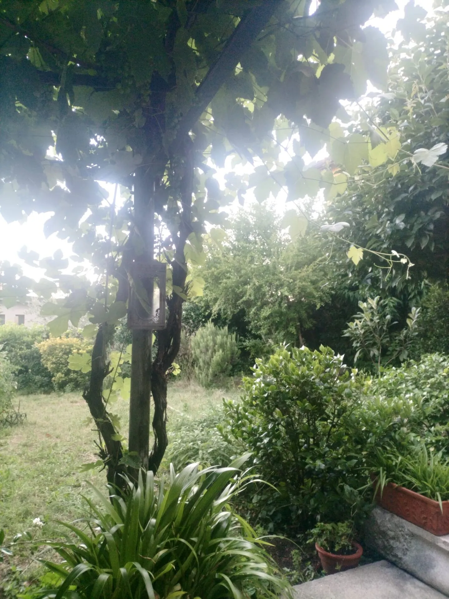 Renovated and Independent Old Building Villa - Photo 13 of 13