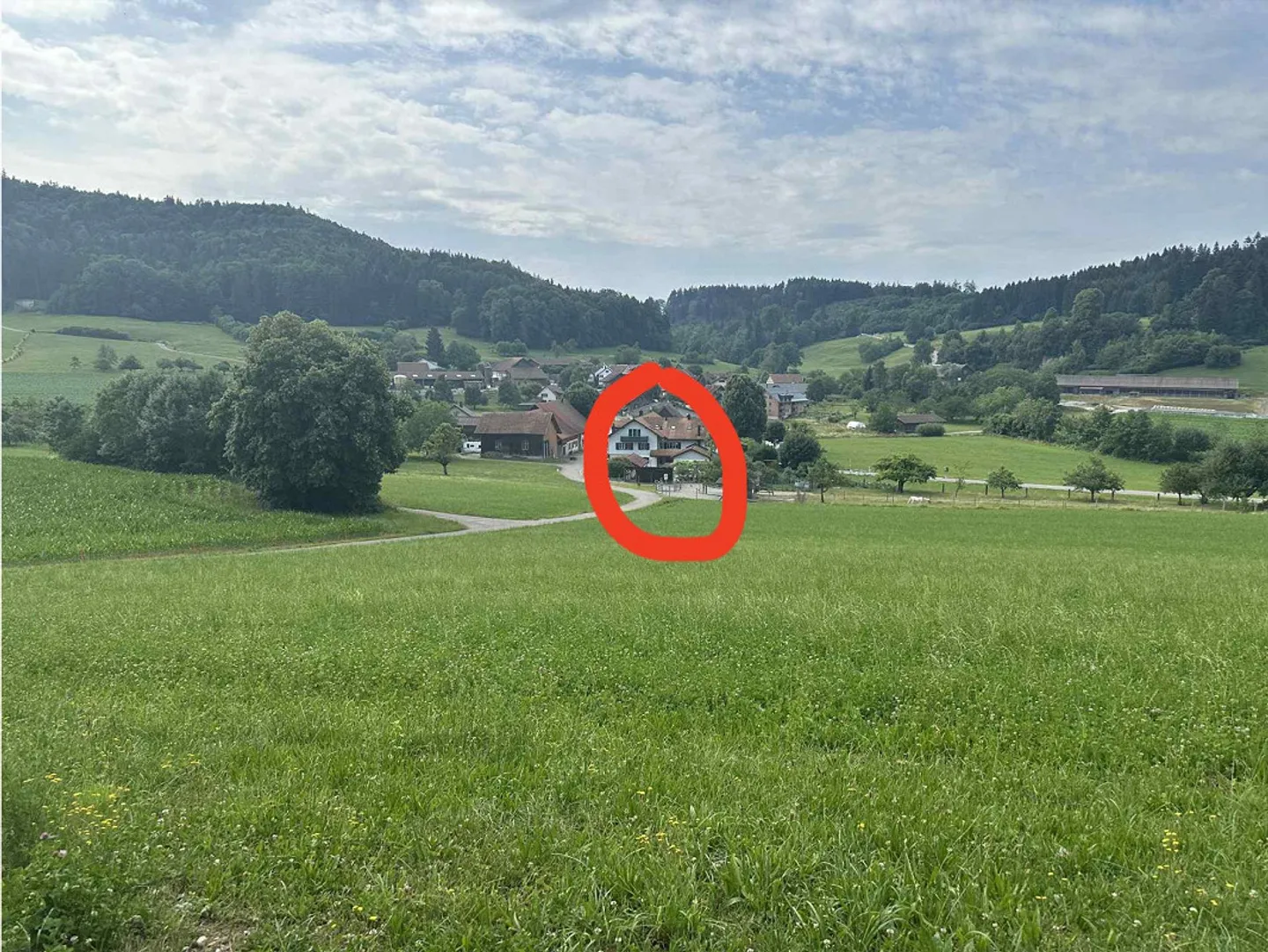 Renoviertes Bauernhaus in der Natur - Foto 2 von 24