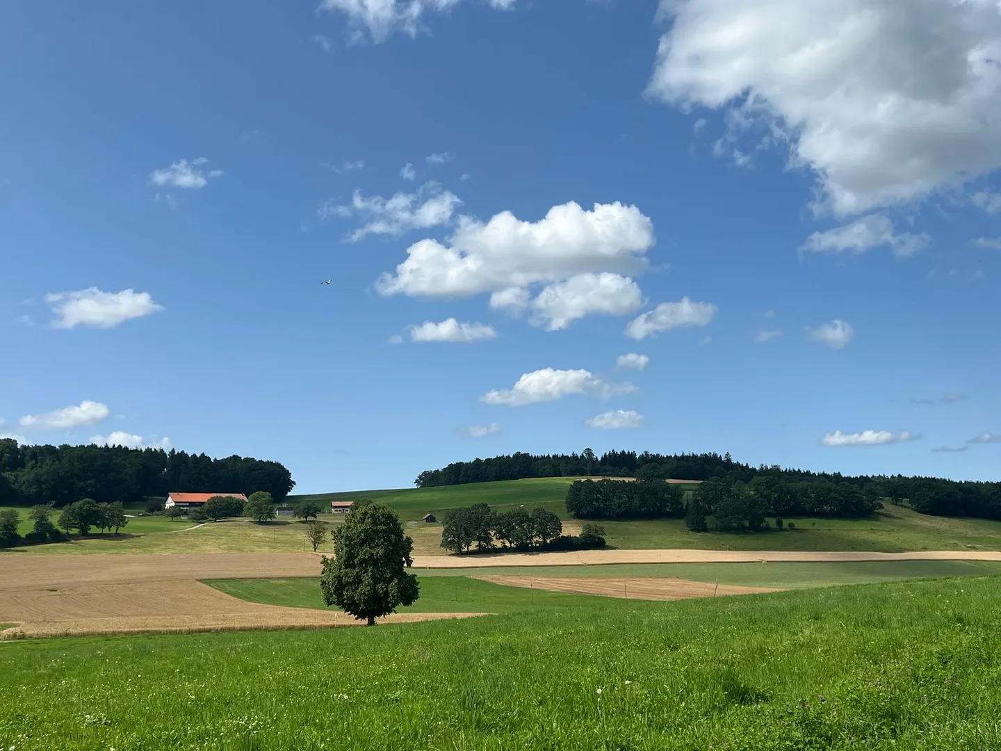 Villa A 6.5 Rooms in Vuisternens in front of Romont - Photo 9 of 11