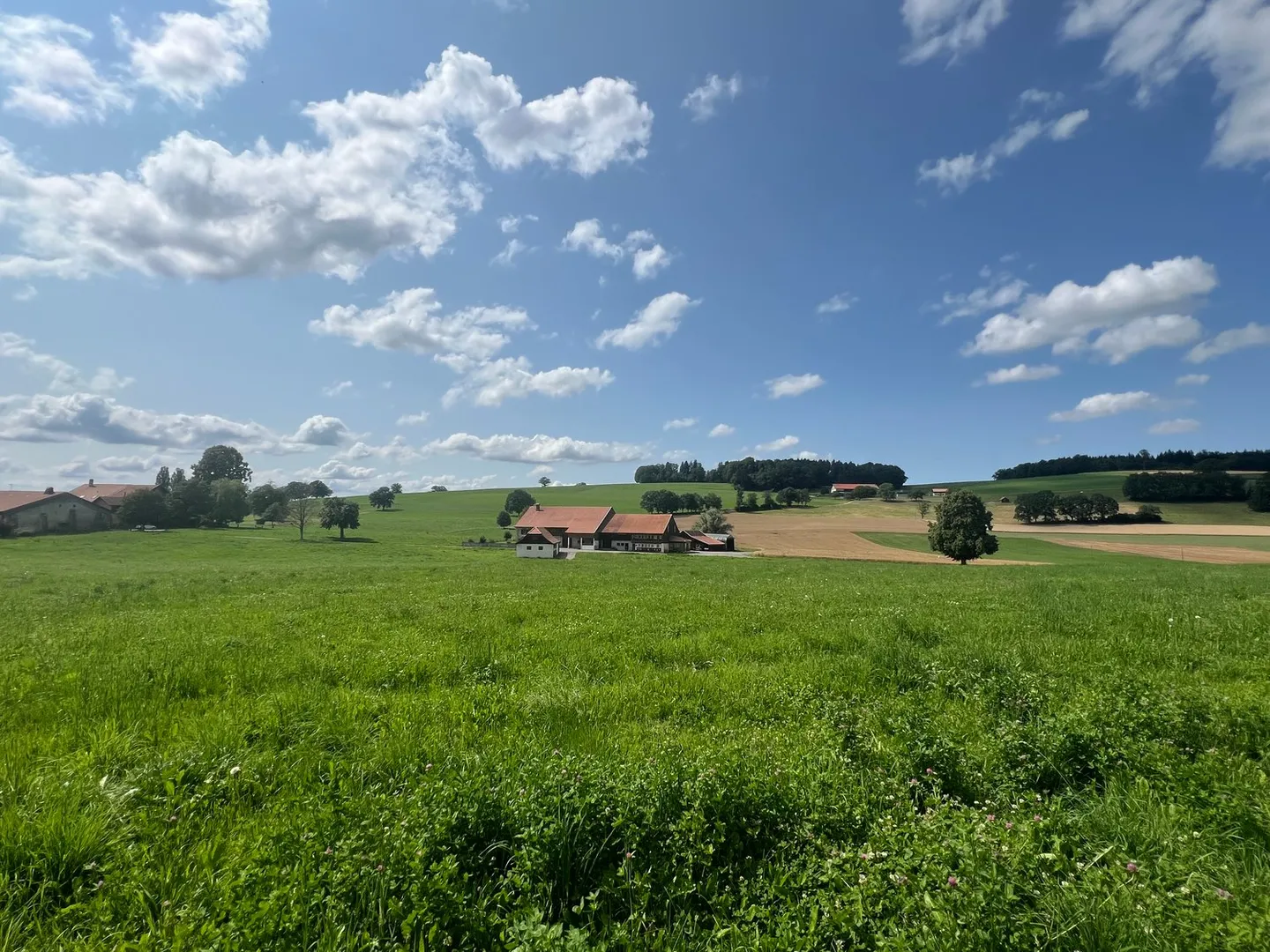 Villa A 6.5 Rooms in Vuisternens in front of Romont - Photo 10 of 11