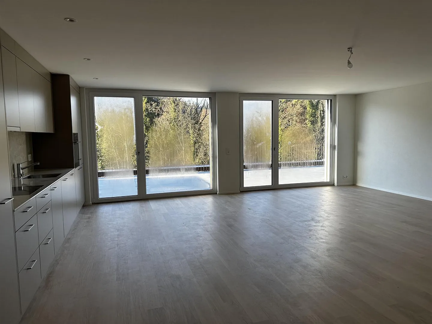 Prima locazione - splendida attico di 5,5 stanze con grande terrazza e vista sul verde - Foto 4 di 13