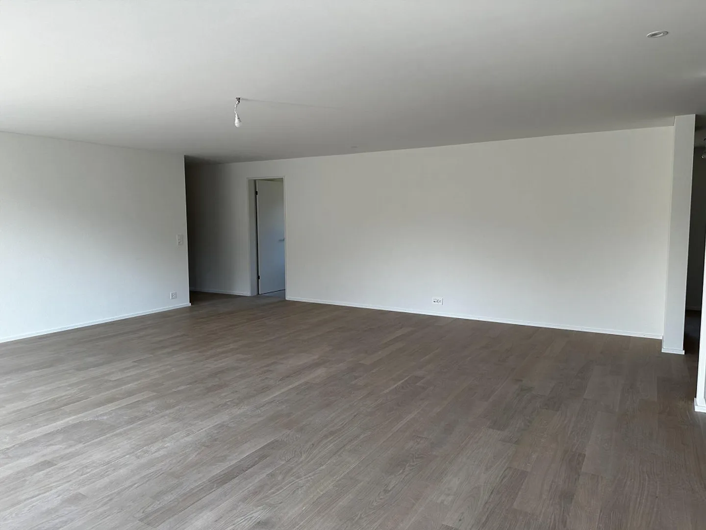 Prima locazione - splendida attico di 5,5 stanze con grande terrazza e vista sul verde - Foto 5 di 13