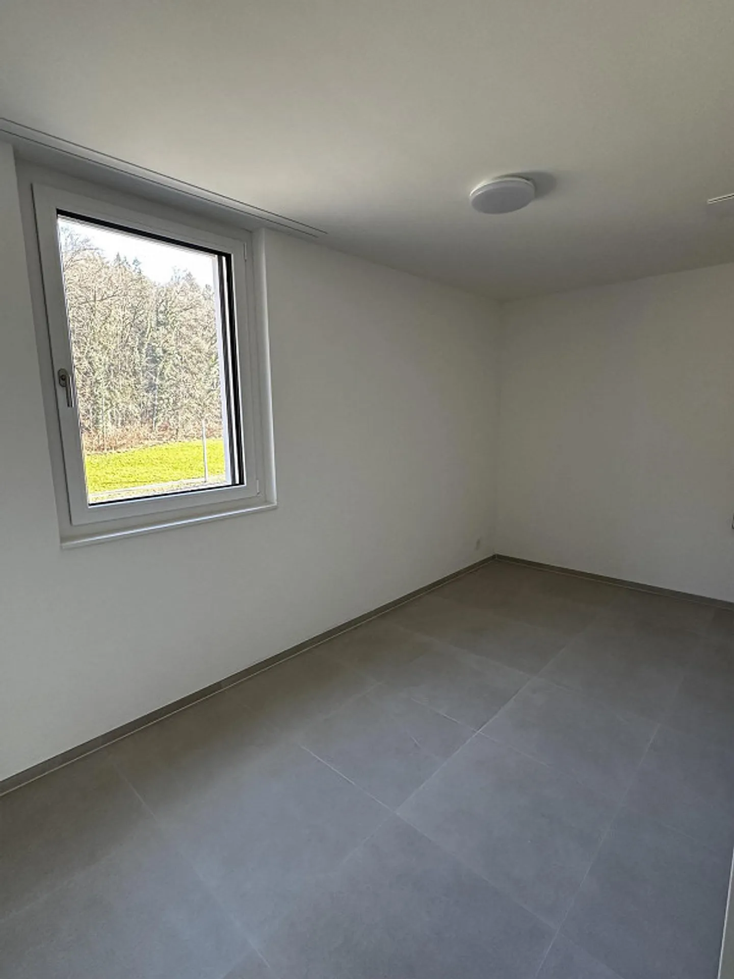 Prima locazione - splendida attico di 5,5 stanze con grande terrazza e vista sul verde - Foto 12 di 13