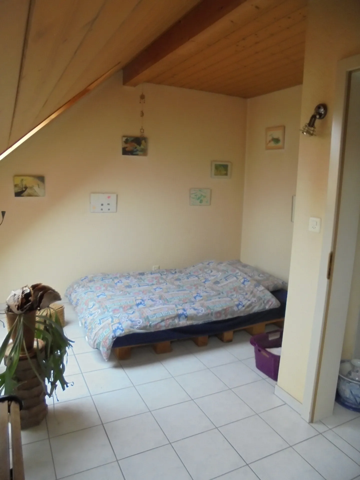 Votre chance! - Photo 6 sur 7