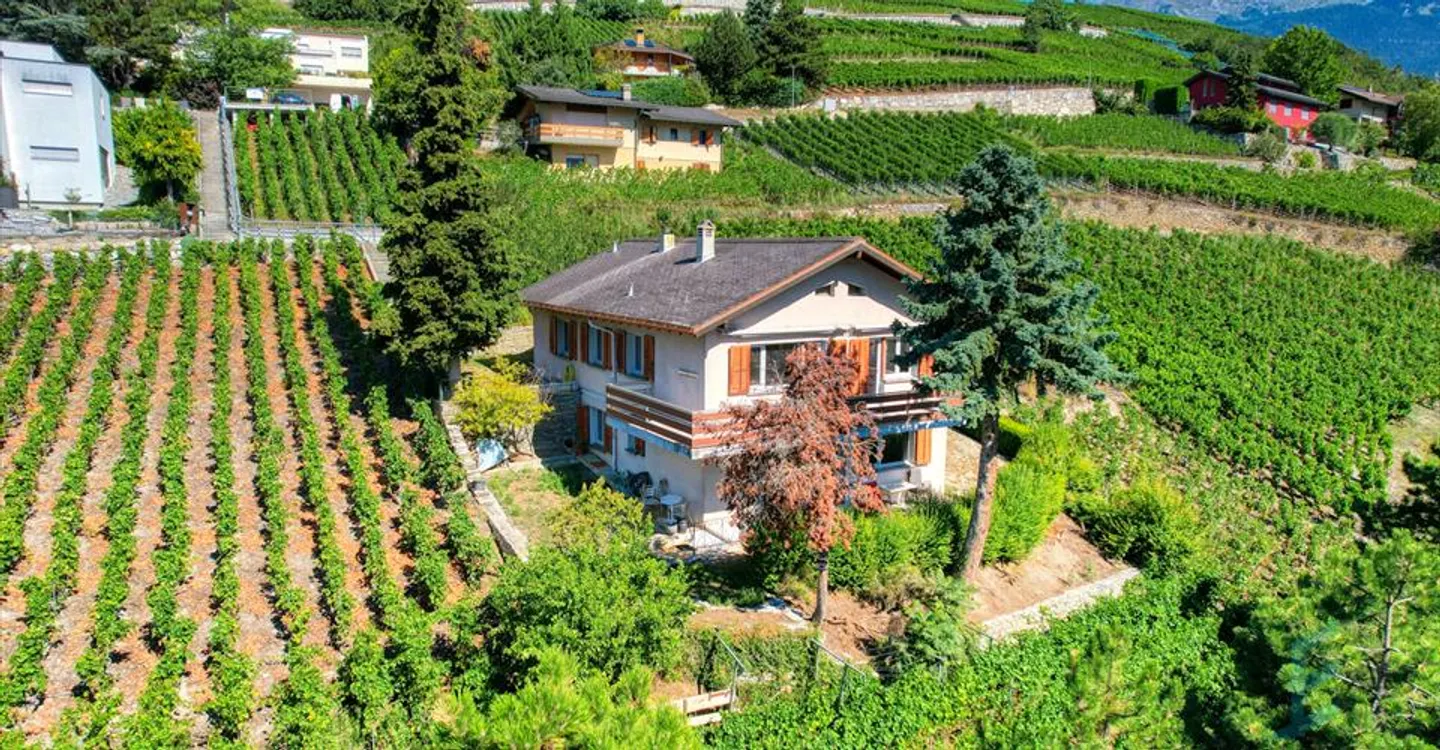 Esclusiva casa affascinante con 2 unità nel cuore del vigneto di Sierrois - Foto 1 di 13
