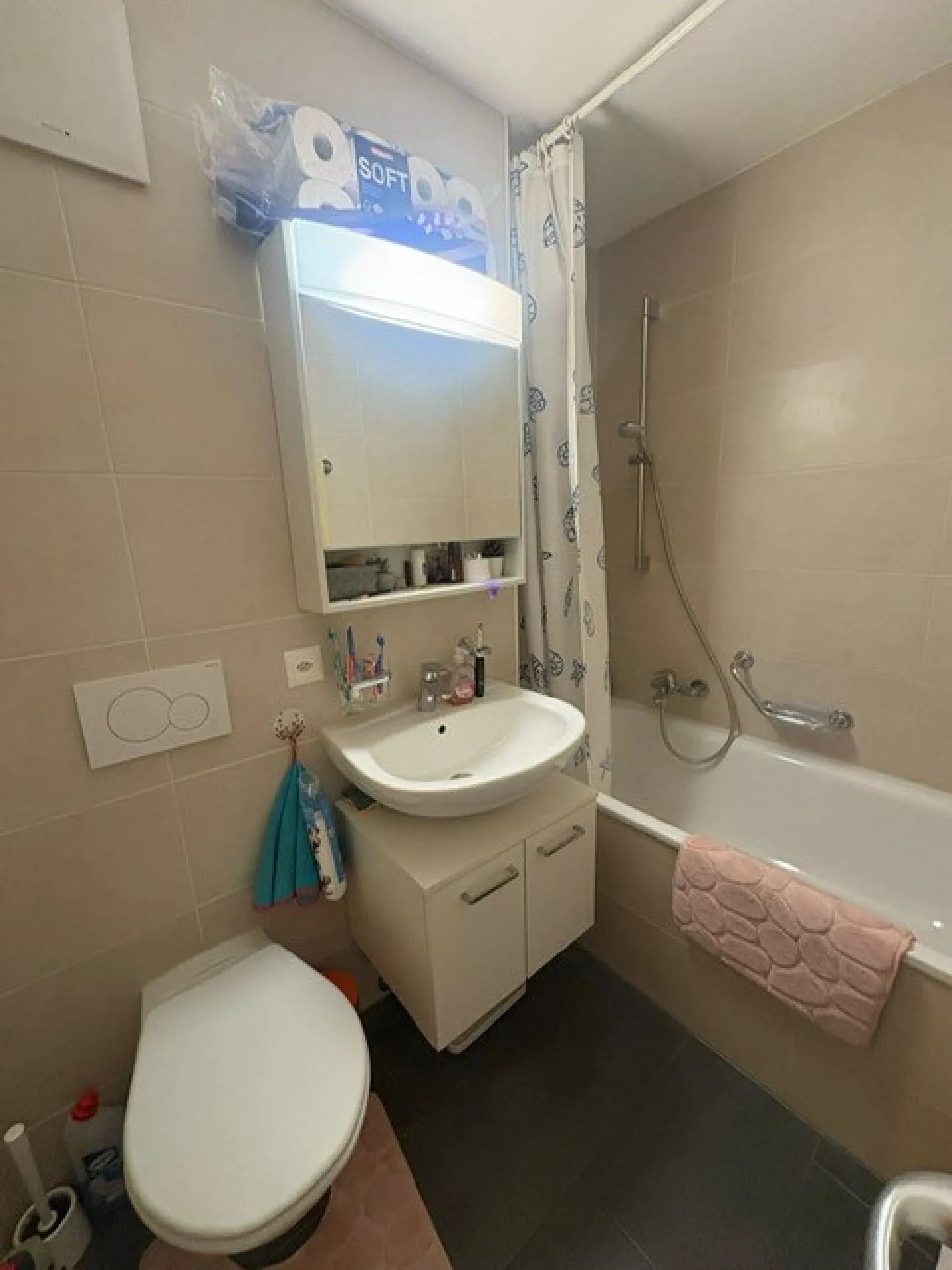 Appartamento di due e mezzo - Foto 2 di 6