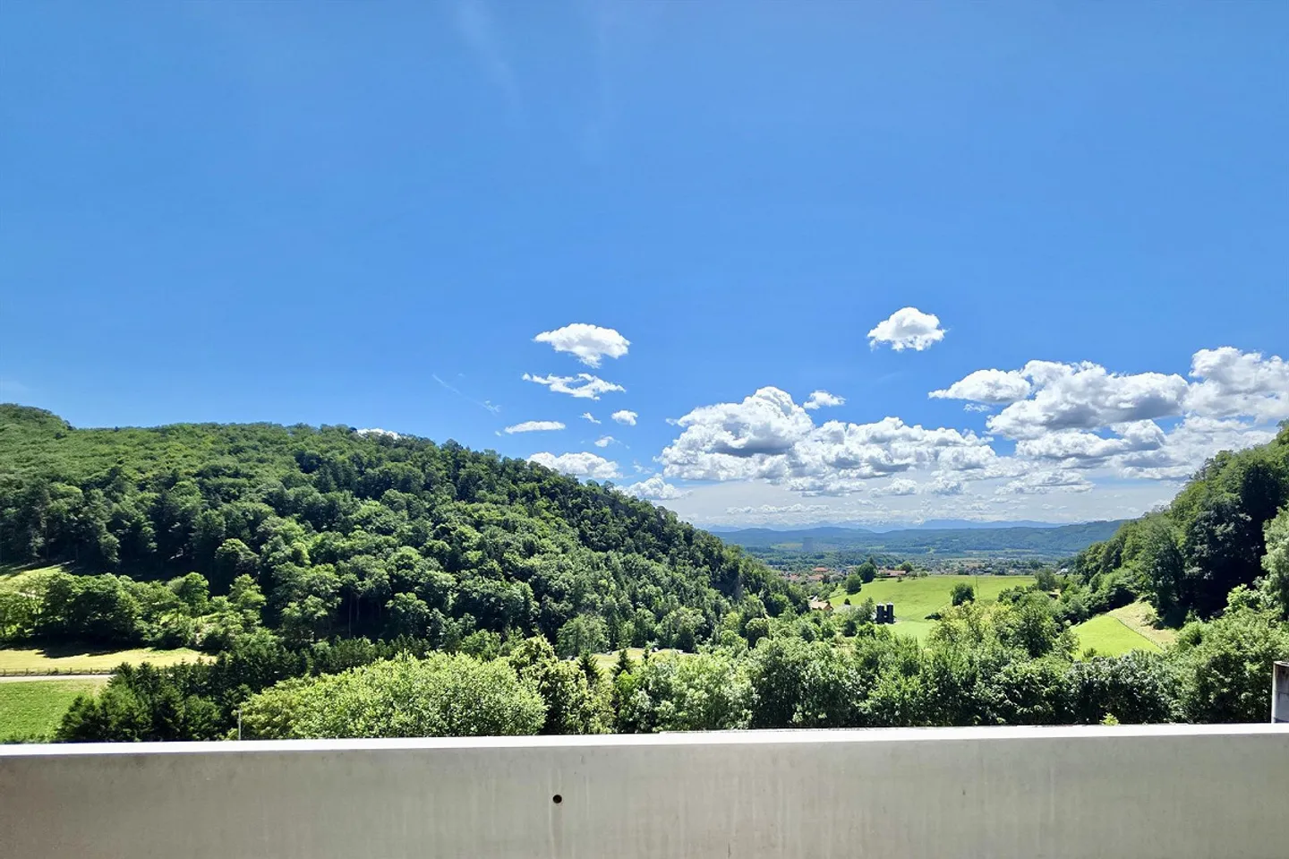 Ampio appartamento di 1,5 stanze con splendida vista panoramica, a soli 15 min. da Aarau - Foto 1 di 10