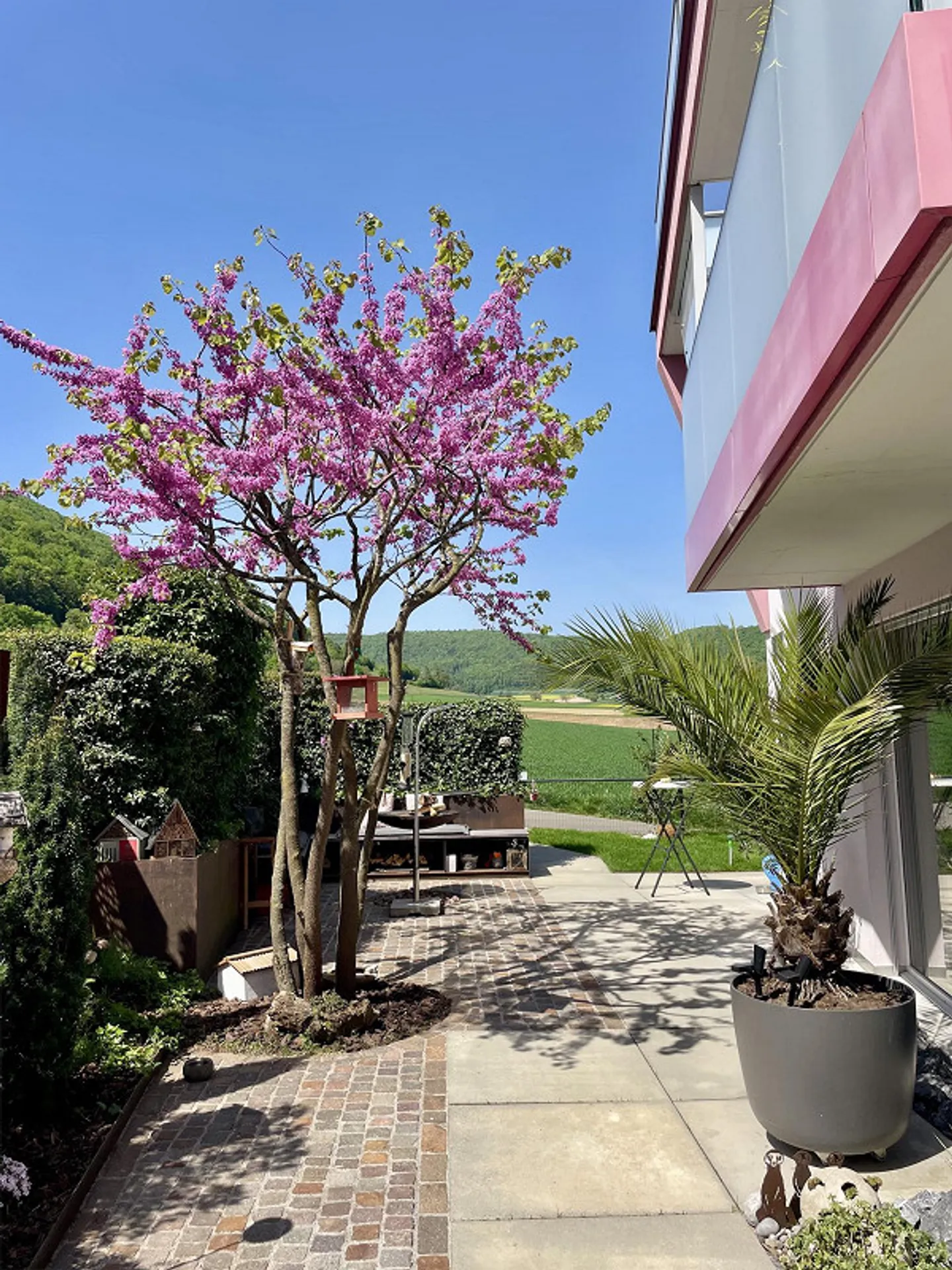 Unico a Beringen - Casa unifamiliare esclusiva - Foto 2 di 14