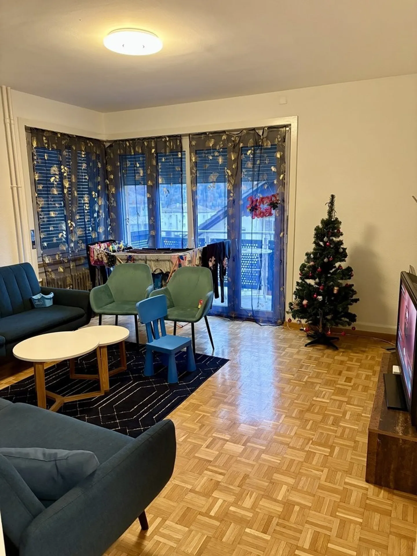 Magnificent renovated apartment in a quiet neighborhood - Photo 8 of 8