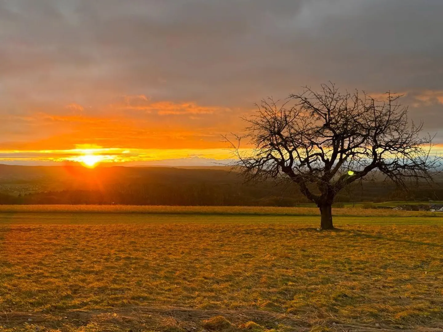 À louer appartement 3,5 pièces dans le ensoleillé Büttenhardt - Photo 1 sur 1