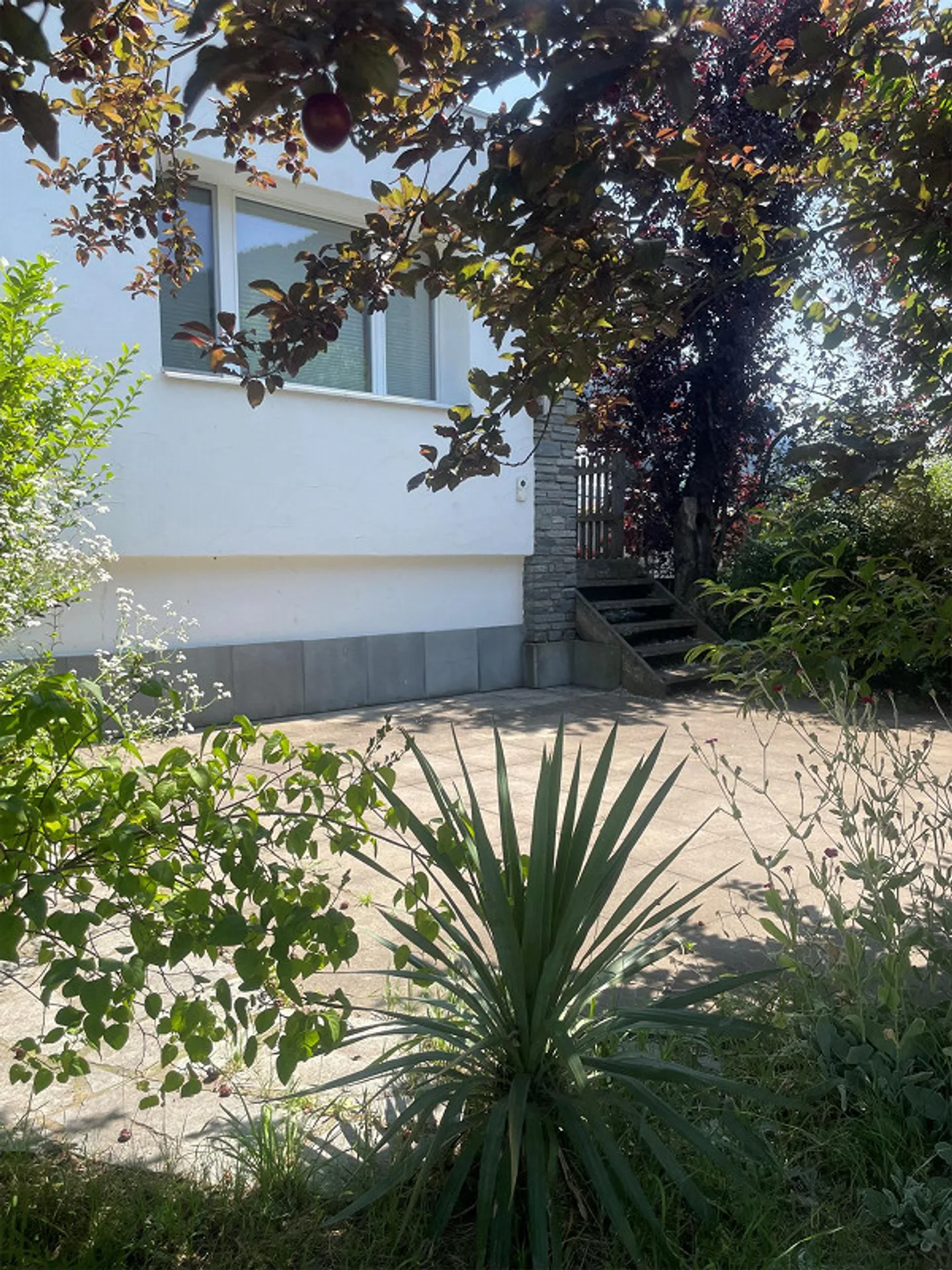 3.5-Zimmer-Wohnung am Rande von Rhäzüns - Foto 11 di 11