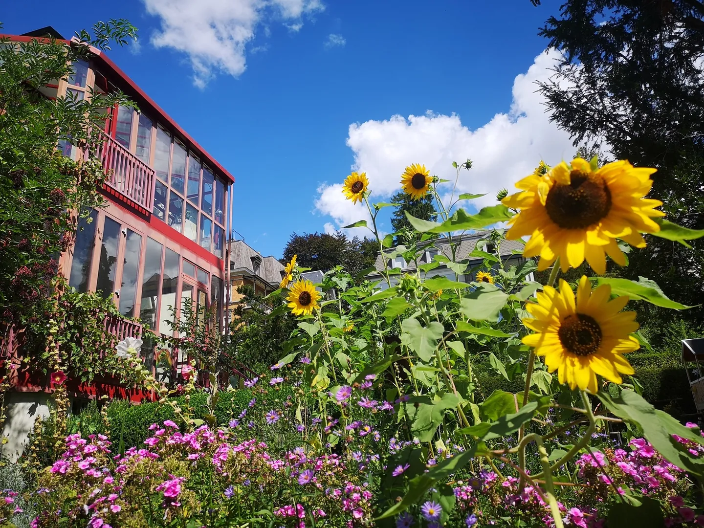 APPARTAMENTO 4 LOCALI A ZURIGO - DISTRETTO 7 FLUNTERN, ARREDATO, TEMPORANEO - Foto 7 di 10