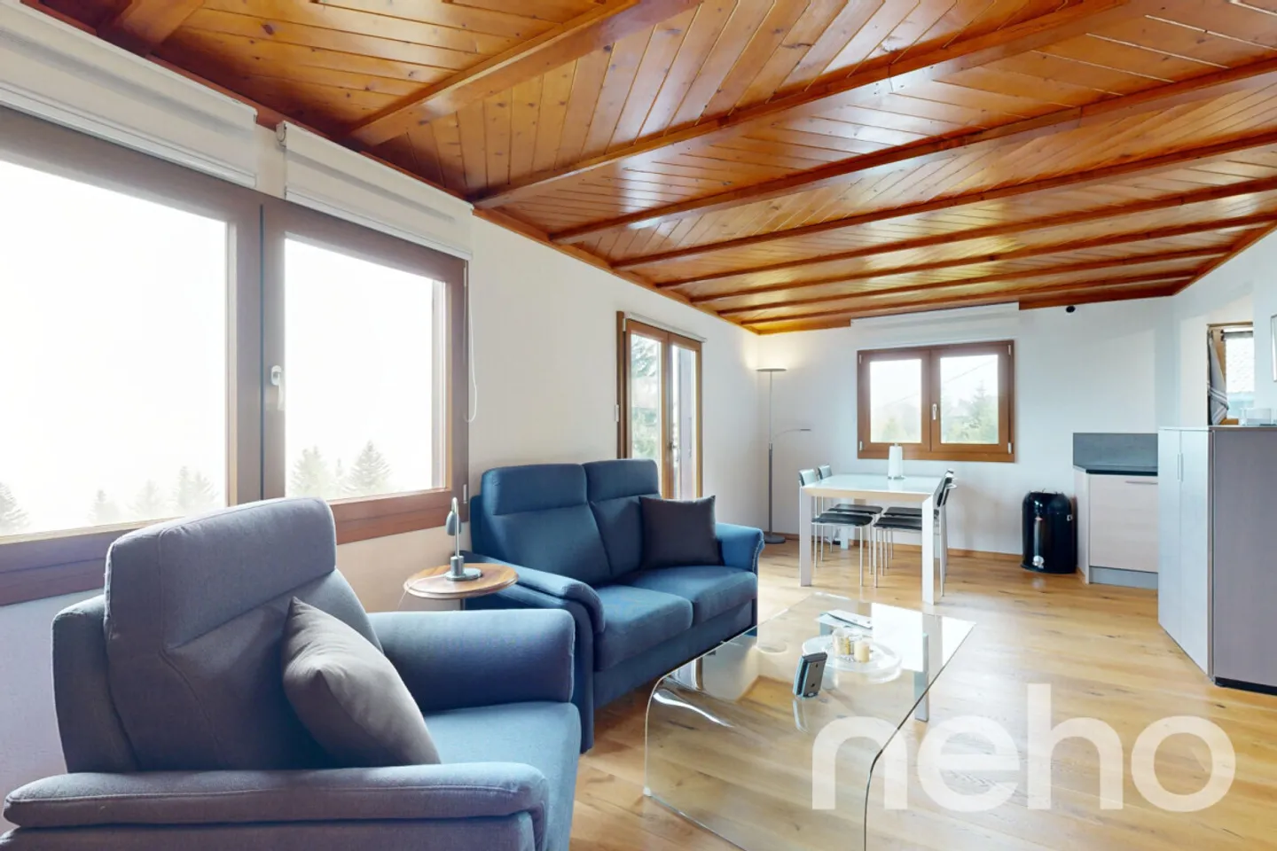 Beautiful Chalet and its Private Studio - Les Giettes - Photo 7 of 13