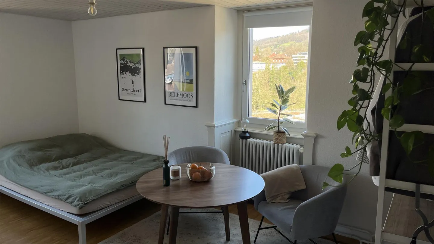 Light-flooded studio with Limmat view & parking space in Ennetbaden - Photo 1 of 6