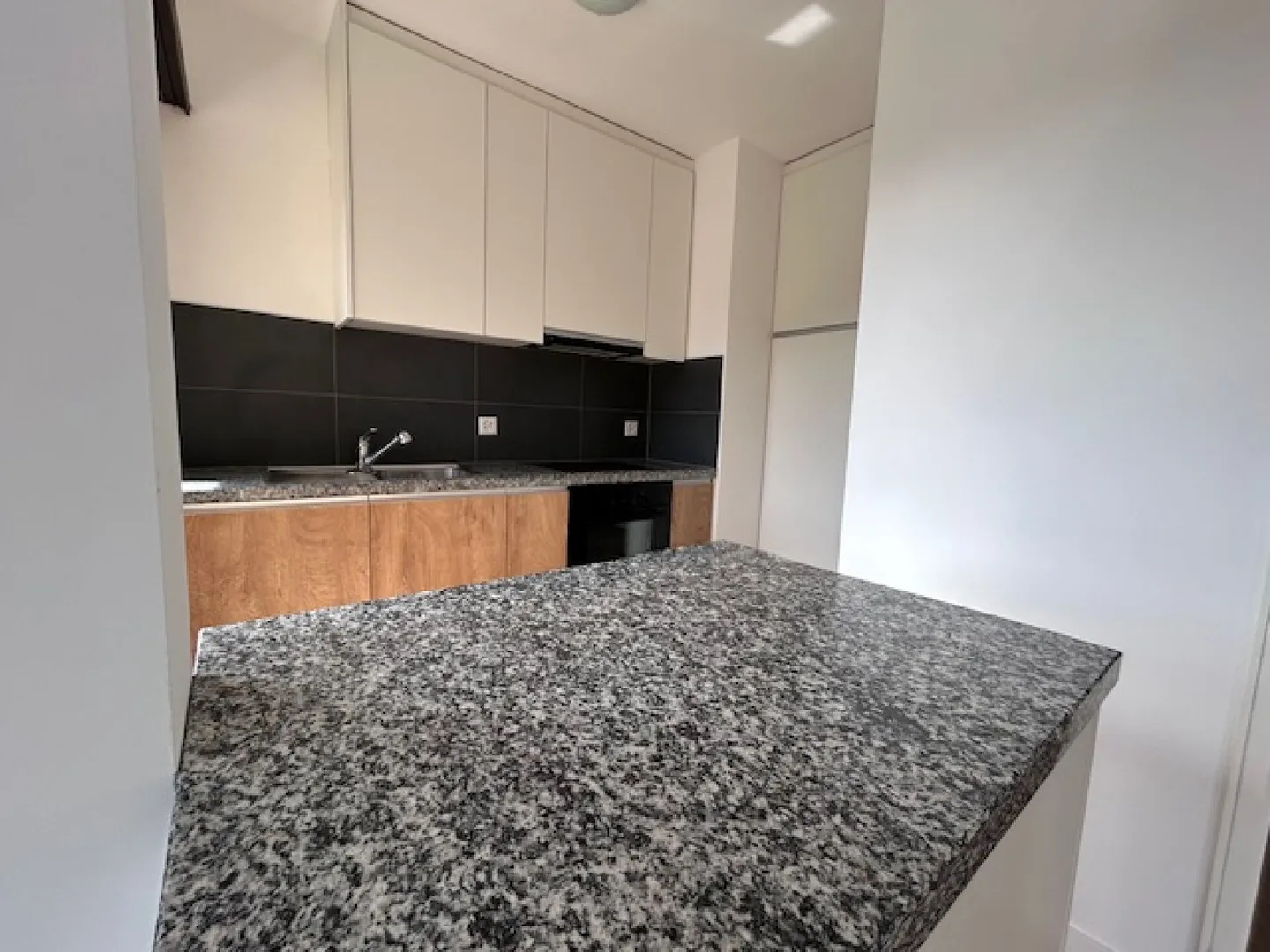 RENOVATED AND BRIGHT 3.5-ROOM APARTMENT - Photo 3 of 13