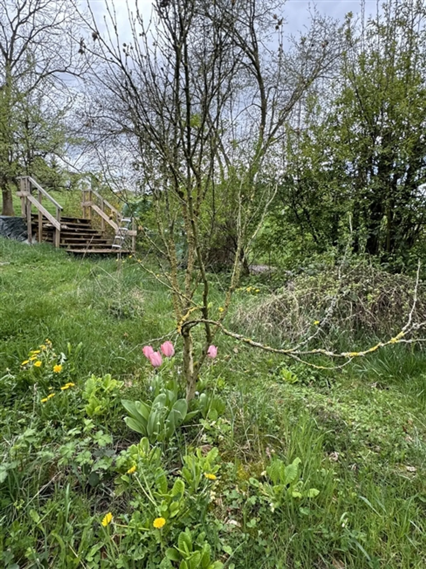 Fattoria caratteristica con 3 appartamenti per le vacanze - Foto 4 di 20