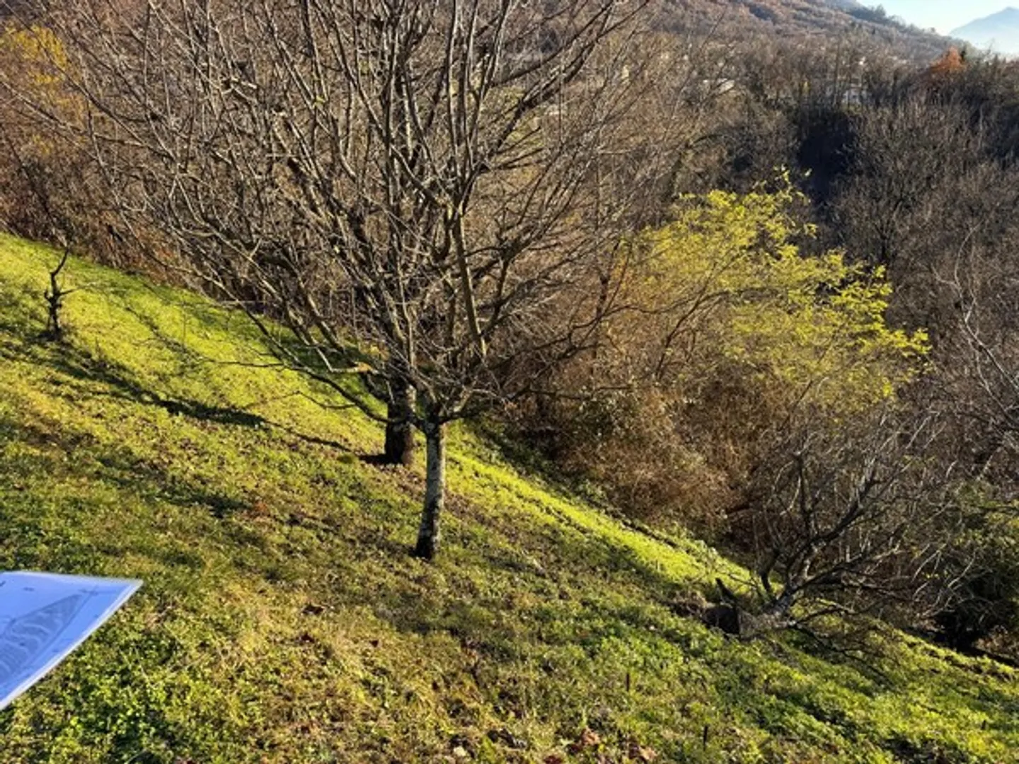 Wir verkaufen Land R2 in ruhiger und sonniger Lage - Foto 1 von 3