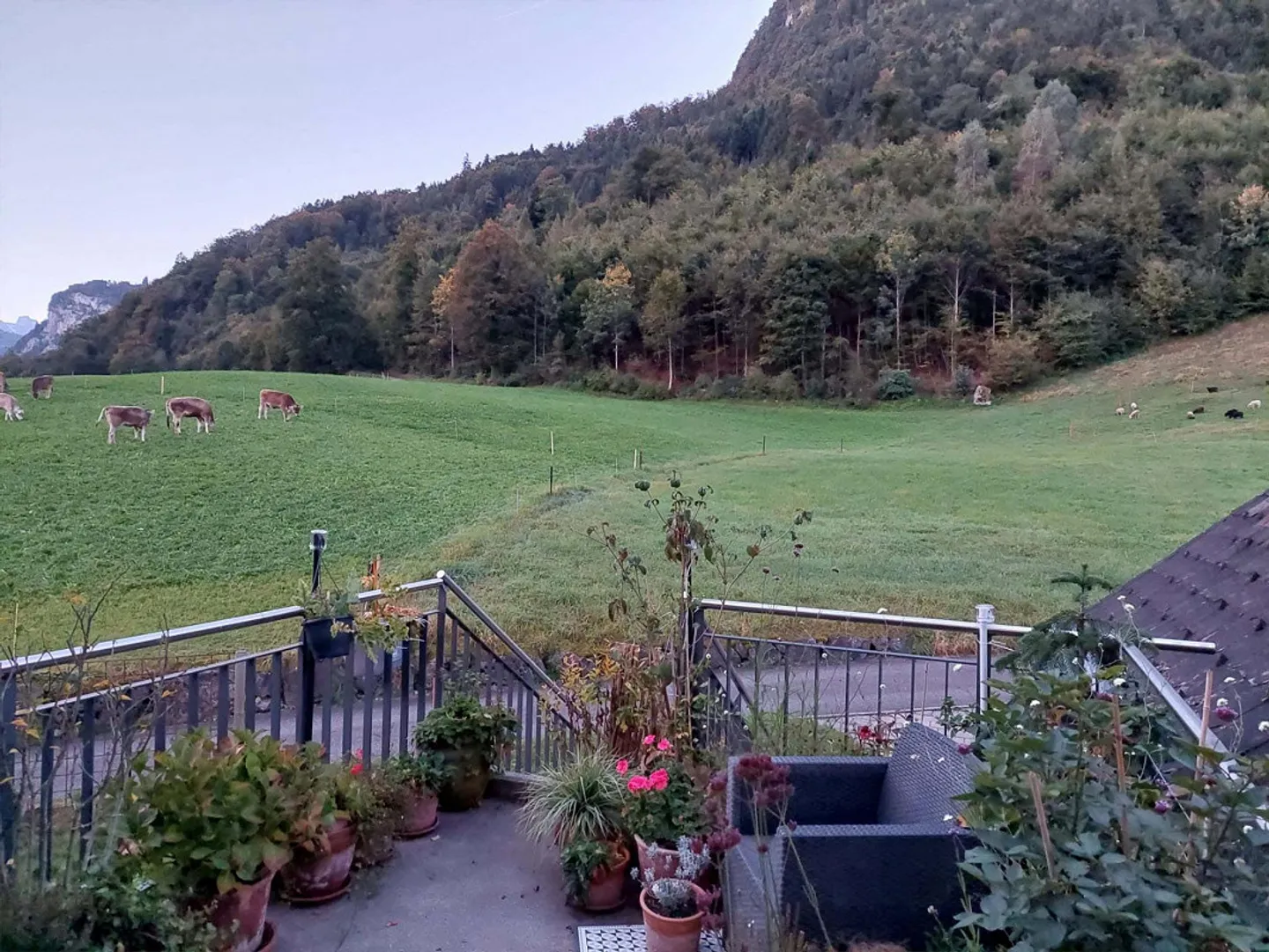 Charmante 3-Zimmerwohnung mit Aussicht - Foto 6 von 23